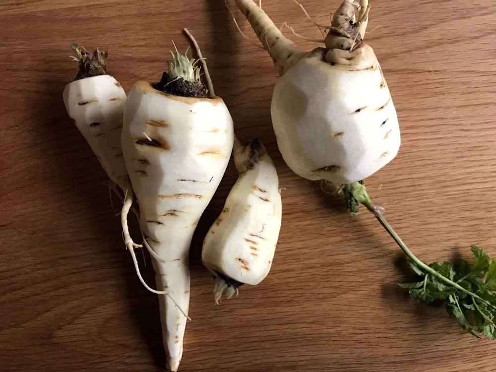 Parsnips2.jpg