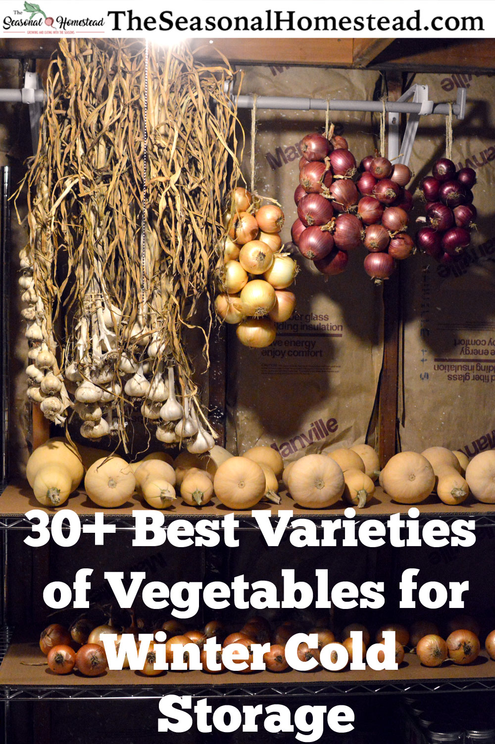 All the Best Ways to Store Vegetables Over Winter – Garden Betty