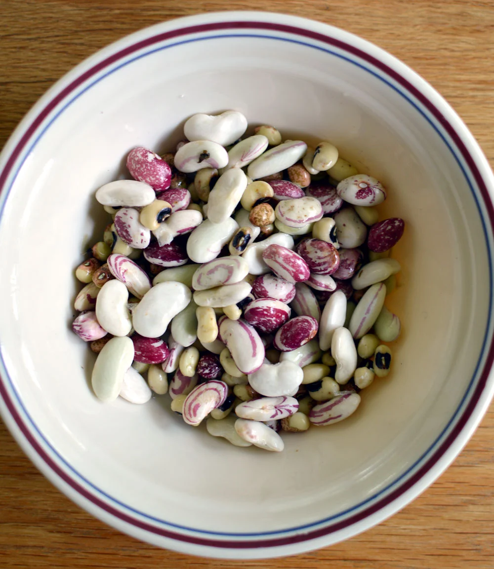 Fresh-Beans.jpg