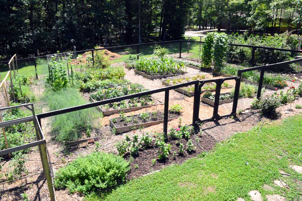  2019 Garden 