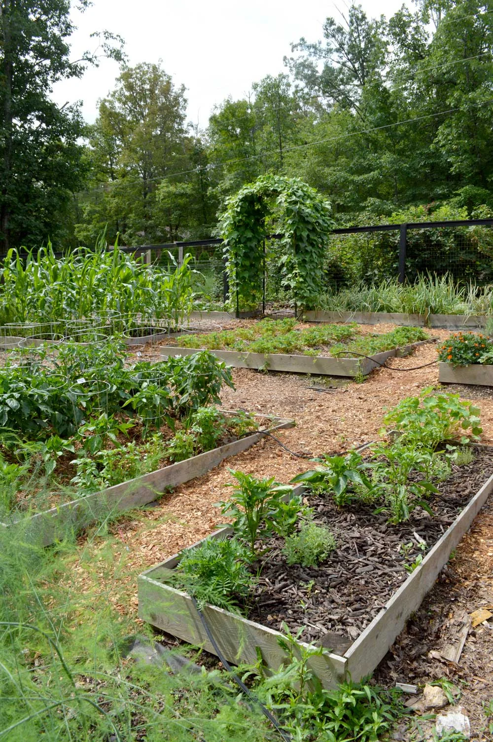 My garden is on a steeper slope, so we put in Terraced Raised Beds.