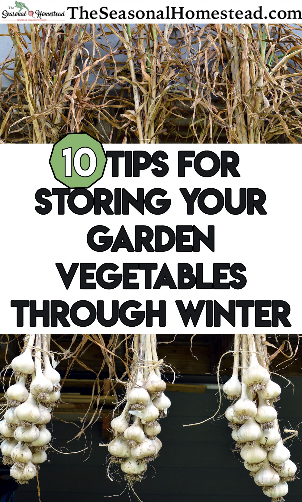 10 Tips For Storing Garden Vegetables