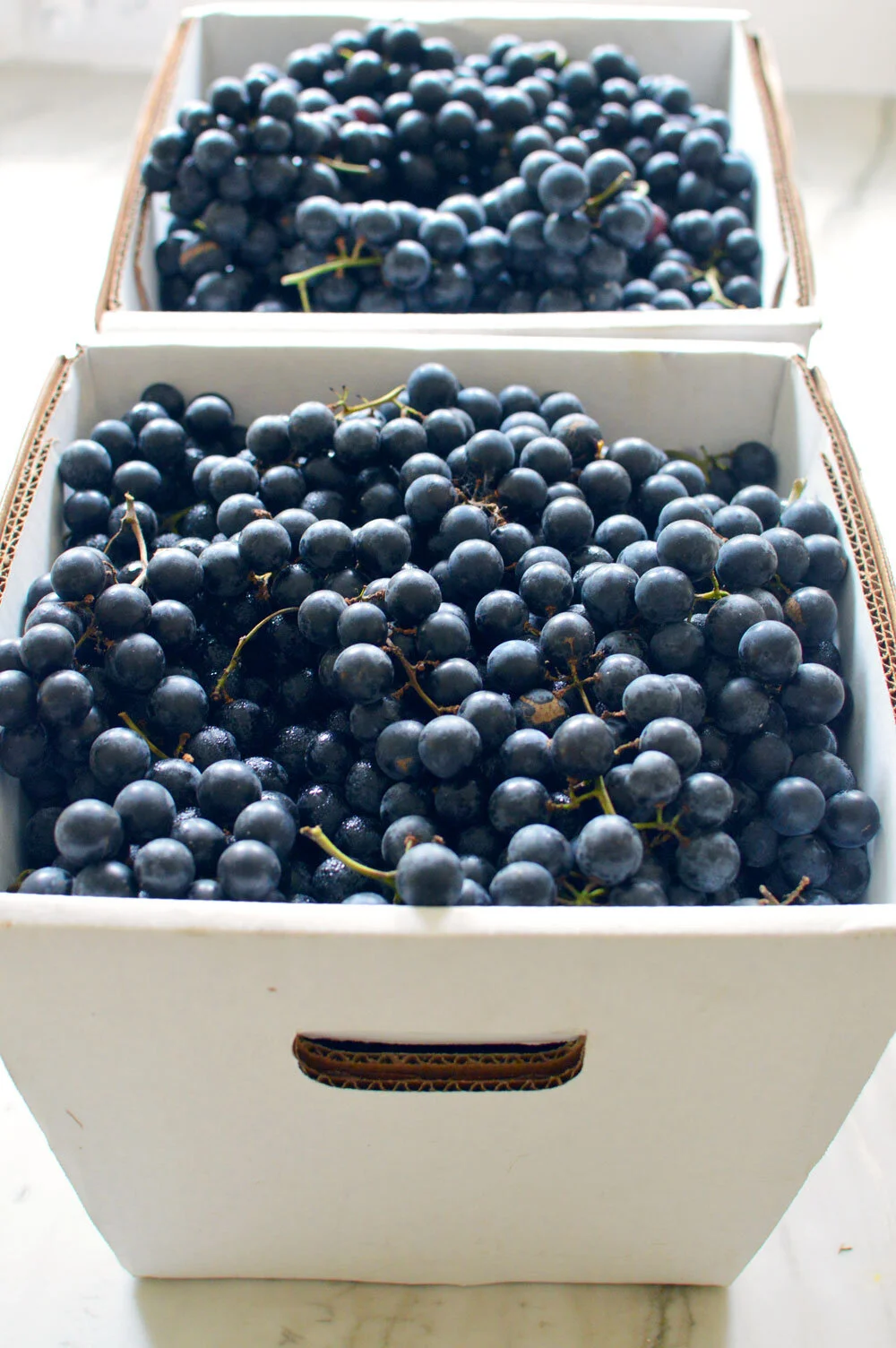 Better-Grapes.jpg