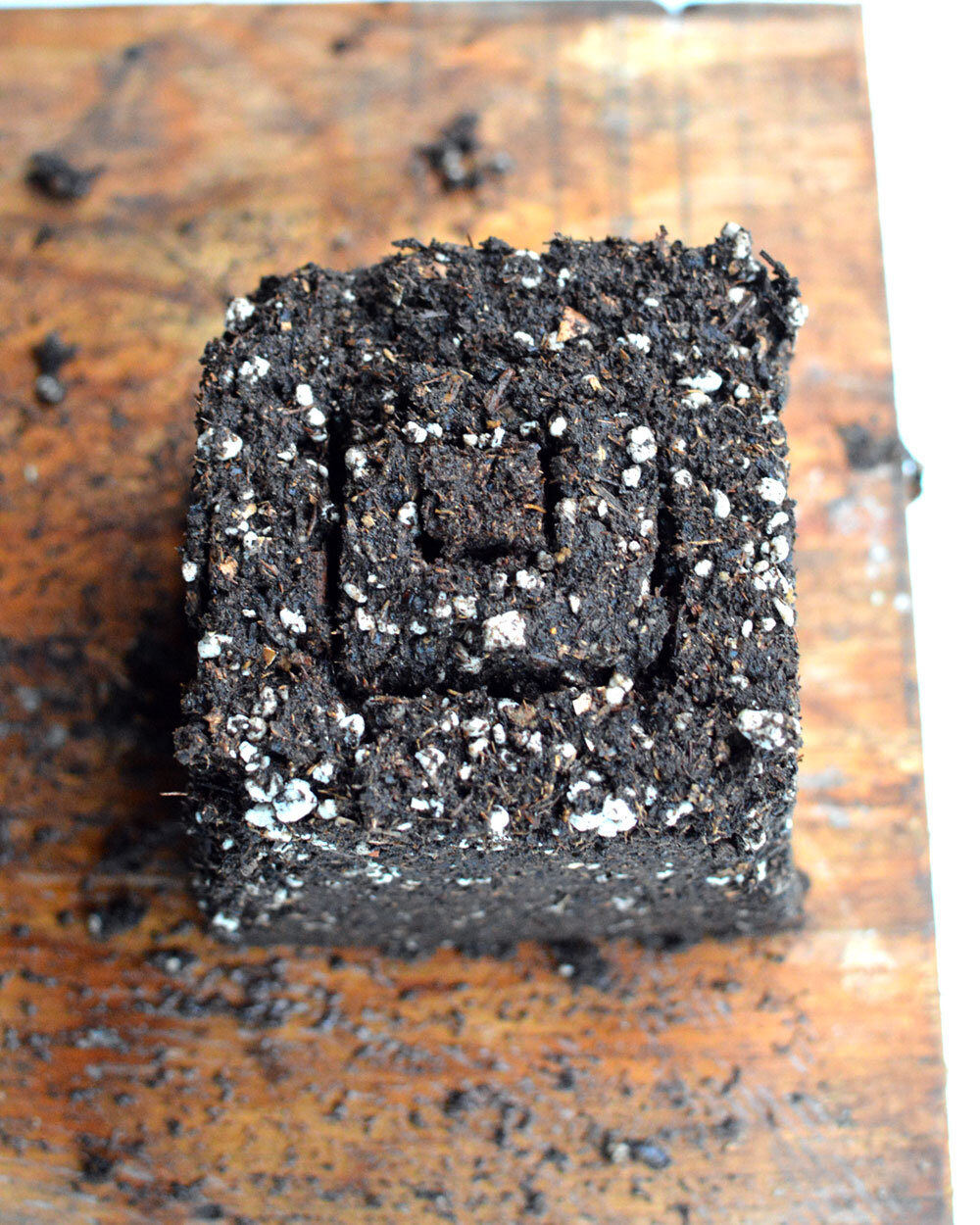 Nested-Soil-Blocks.jpg