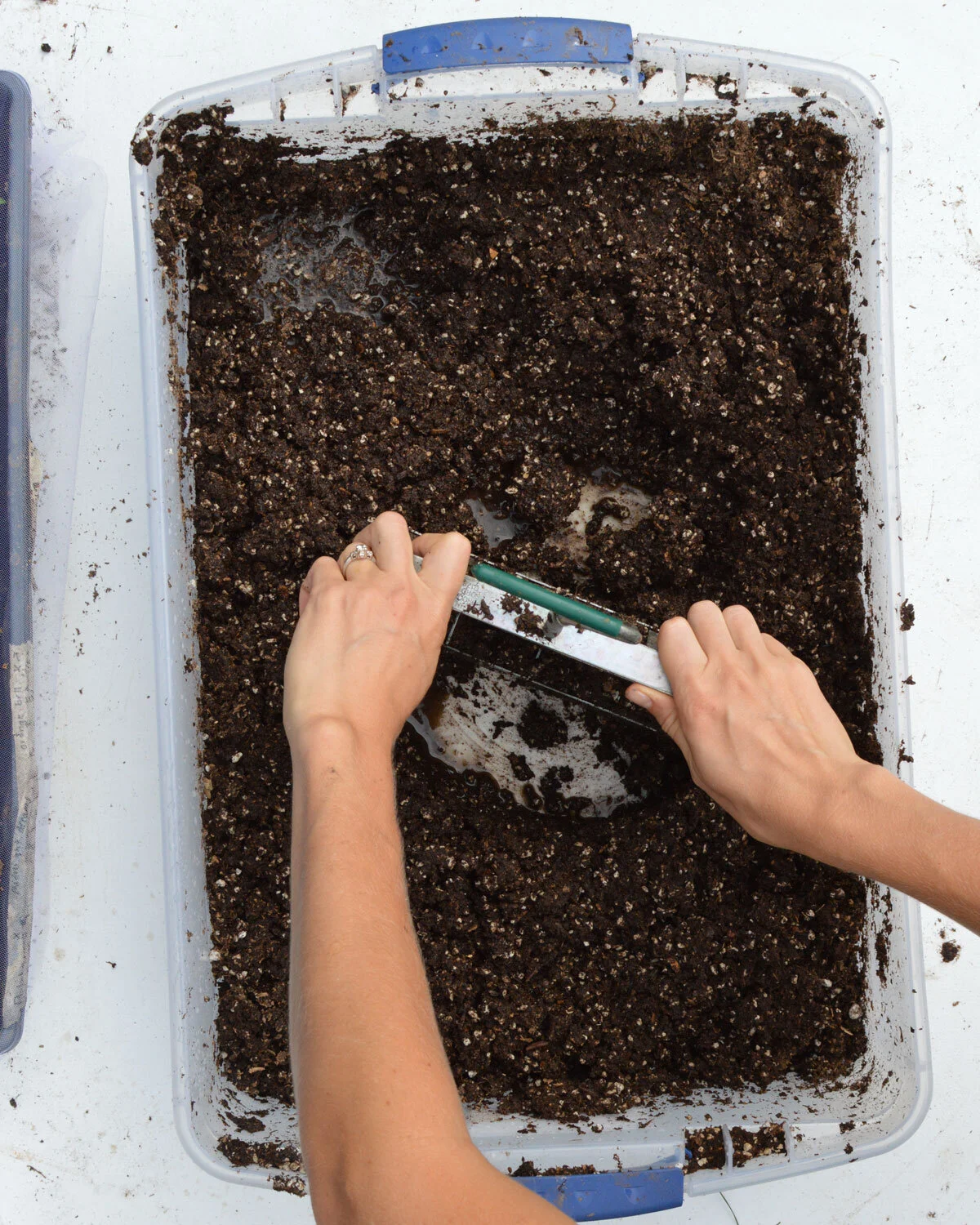 Soil-Blocking.jpg