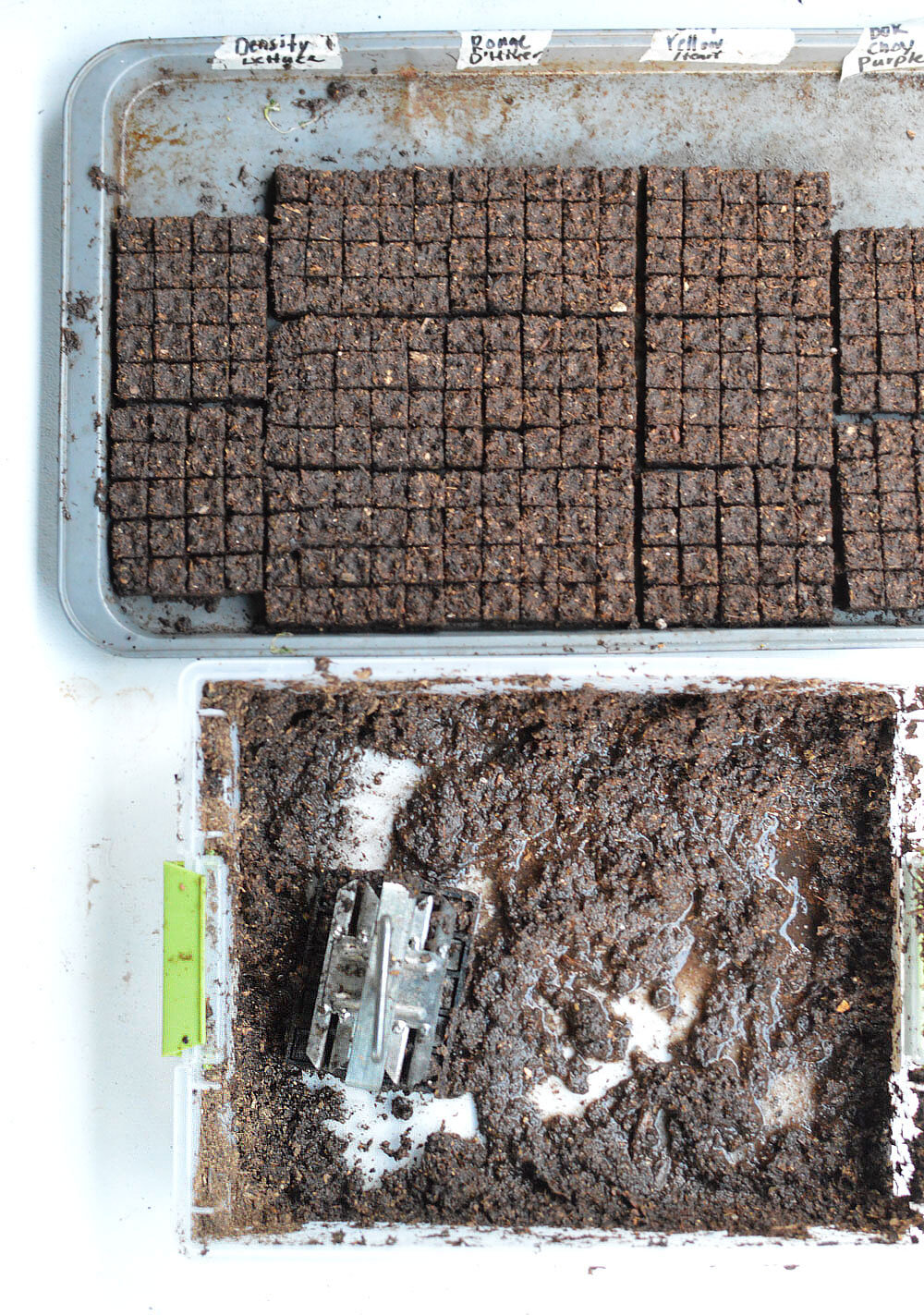 Mini-Soil-Block-Making1.jpg