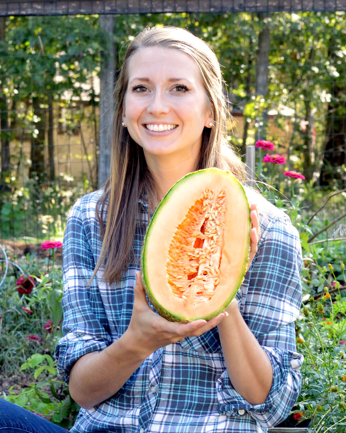  Healy’s Pride. The first melon was so sweet but each one after that has had less and less flavor. I’ll be growing another variety next year! 