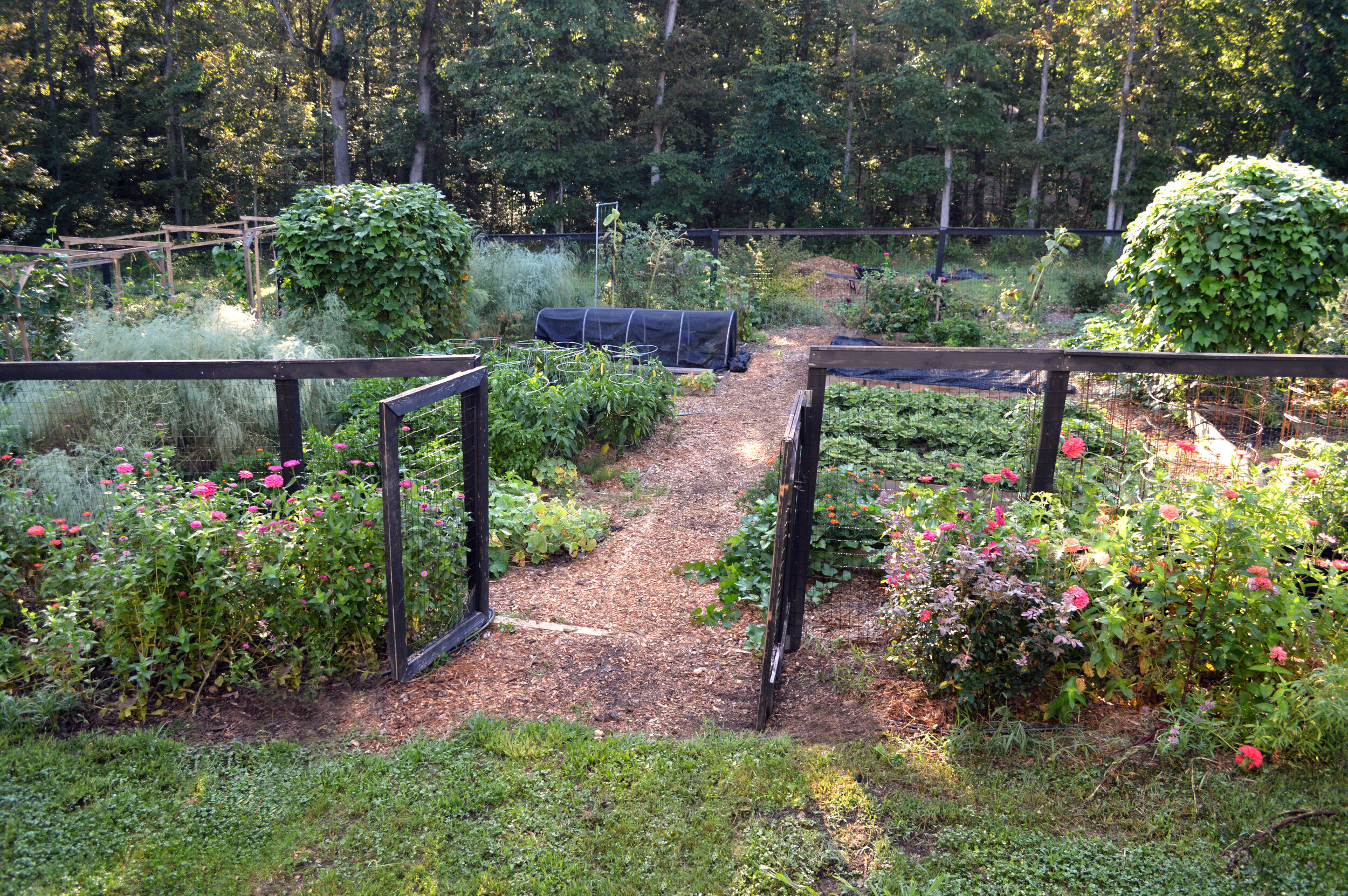 the-truth-about-self-sufficiency-on-a-quarter-acre-the-seasonal-homestead