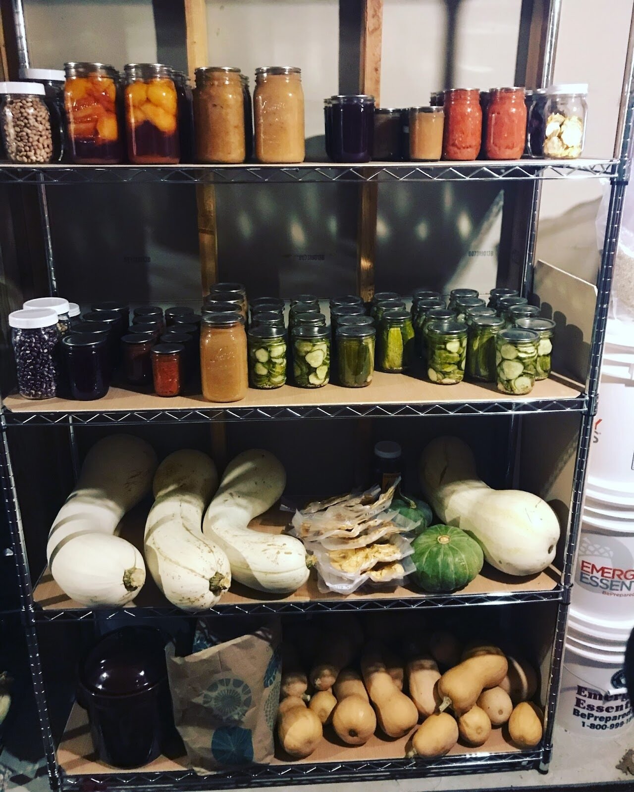  Our 2017-2018 winter pantry from our first year of try to be vegetable self-sufficient 