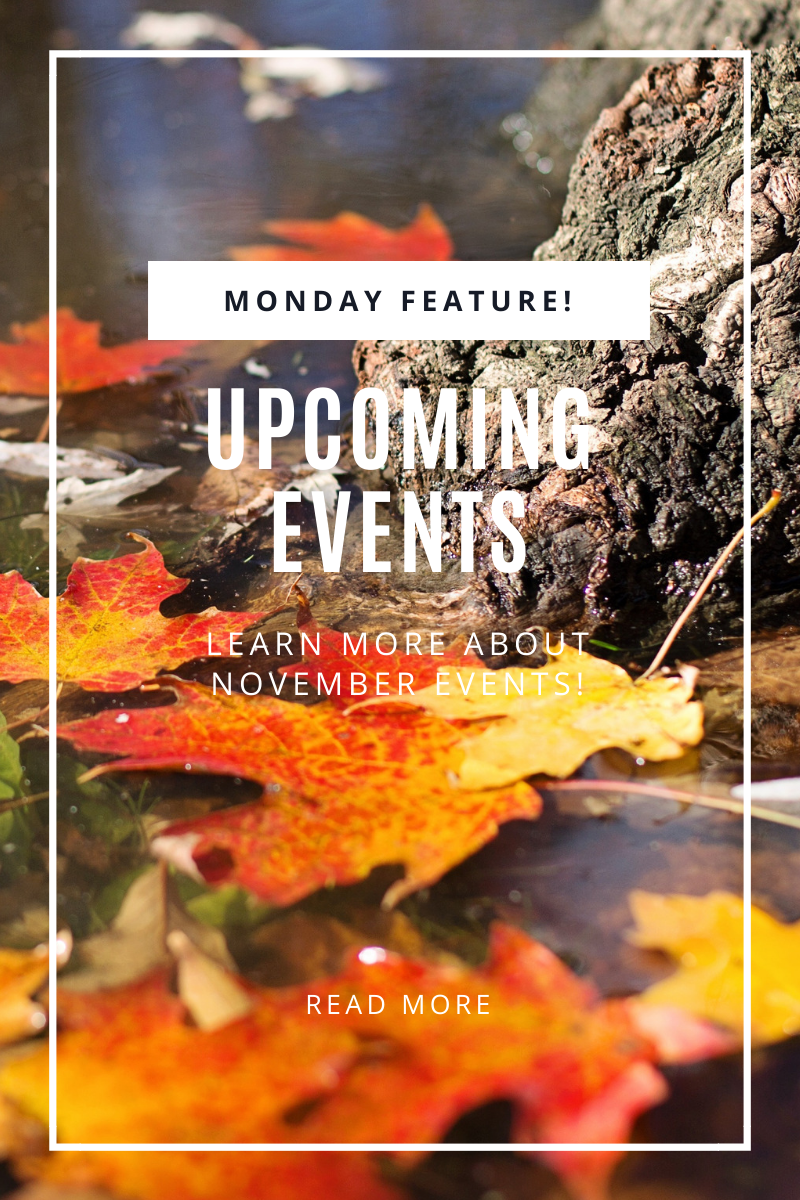 UPCOMING NOVEMBER EVENTS