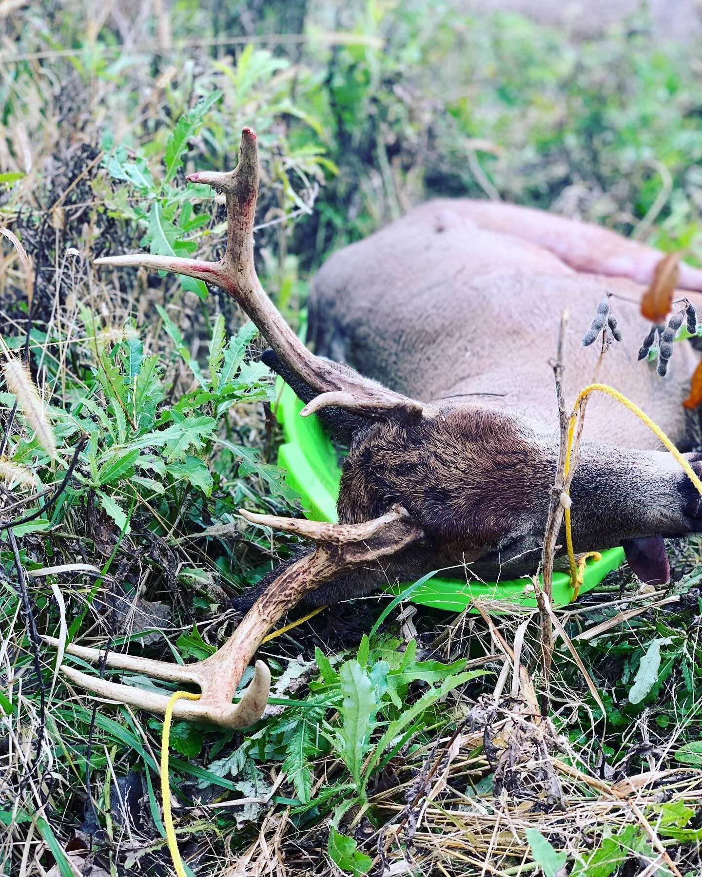 I don&rsquo;t get to hunt as much as I&rsquo;d like, so I&rsquo;m not a picky hunter. I hunt for a myriad of reasons, but mostly to put meat in the freezer. Getting to take a decent buck is icing on the cake. Thanks to @squatch_family_outdoors for le