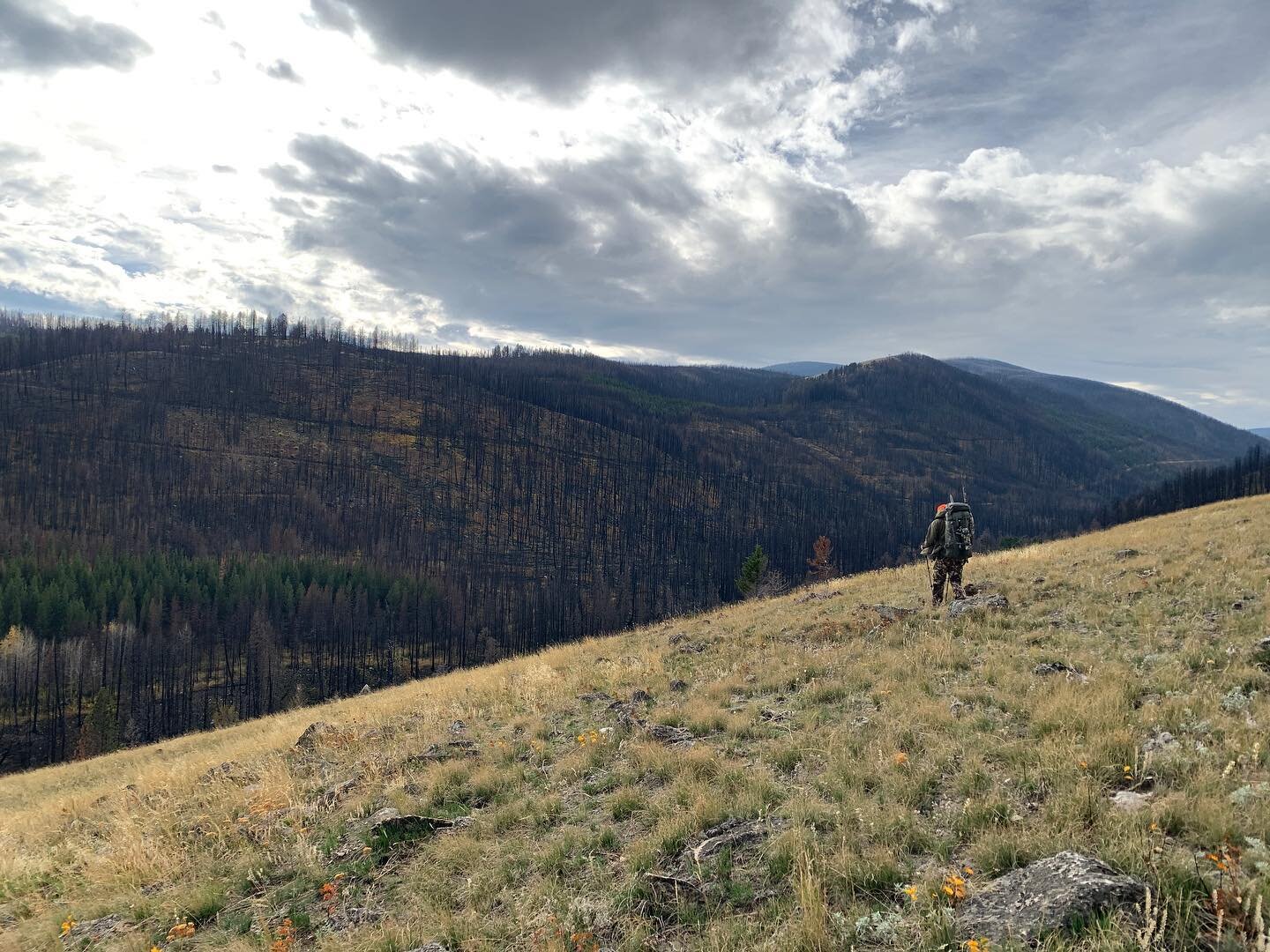 I&rsquo;ve spent a good chunk of this fall in the wilderness; I&rsquo;ve wandered the mountains of Montana, revisited wood lots in Indiana, and returned to swamps of Michigan that I&rsquo;ve grown up in. I&rsquo;ve been alone, been with good friends,