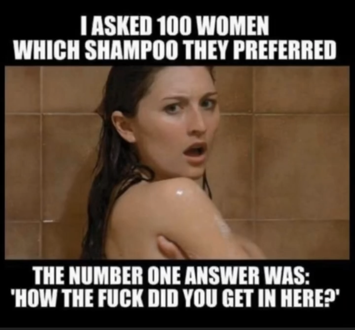 IMG_8243.PNG