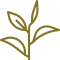 Landscape maintenance Vermont