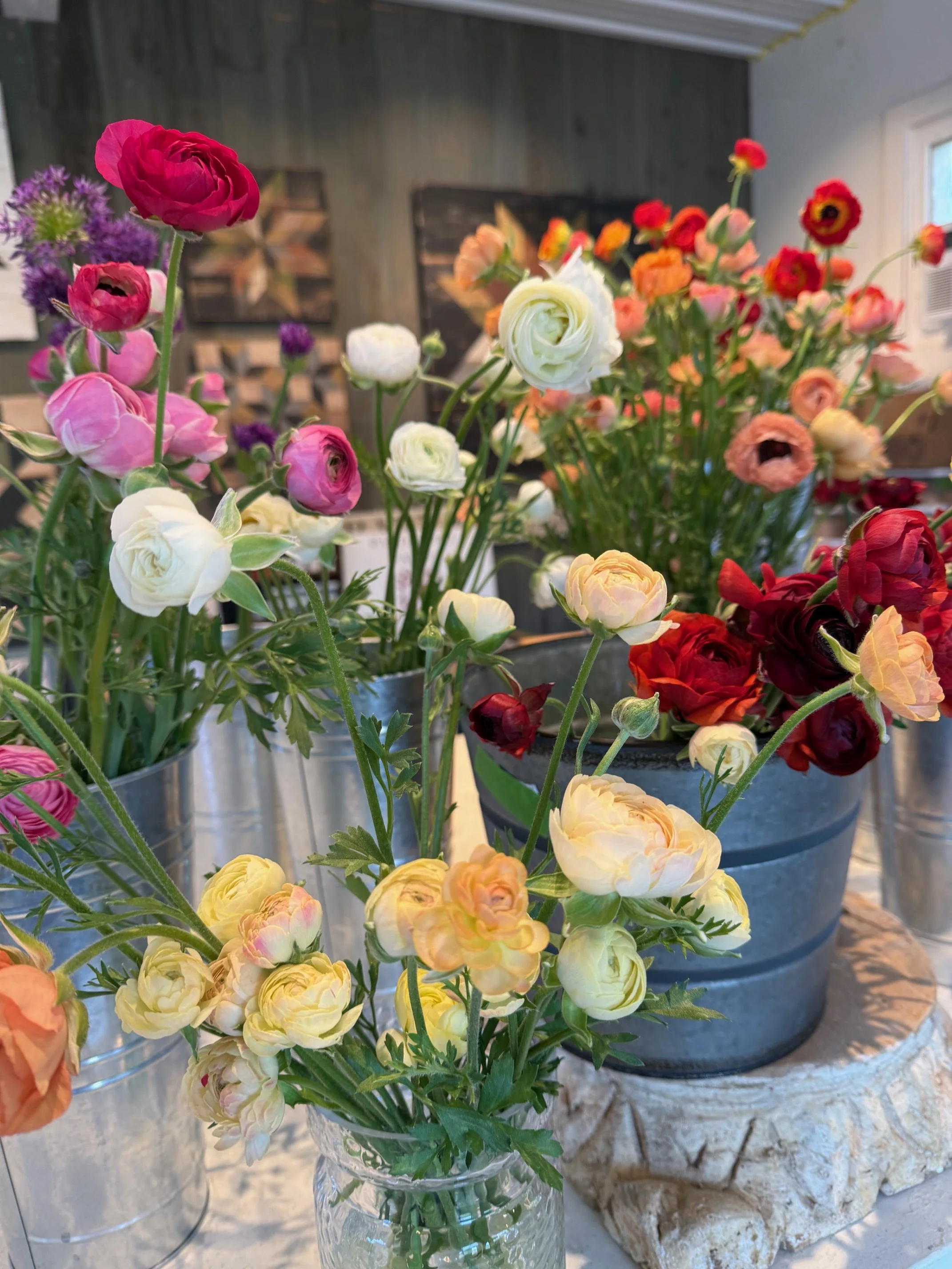 Patten Hill Flower Pop-Up Bloom Bar