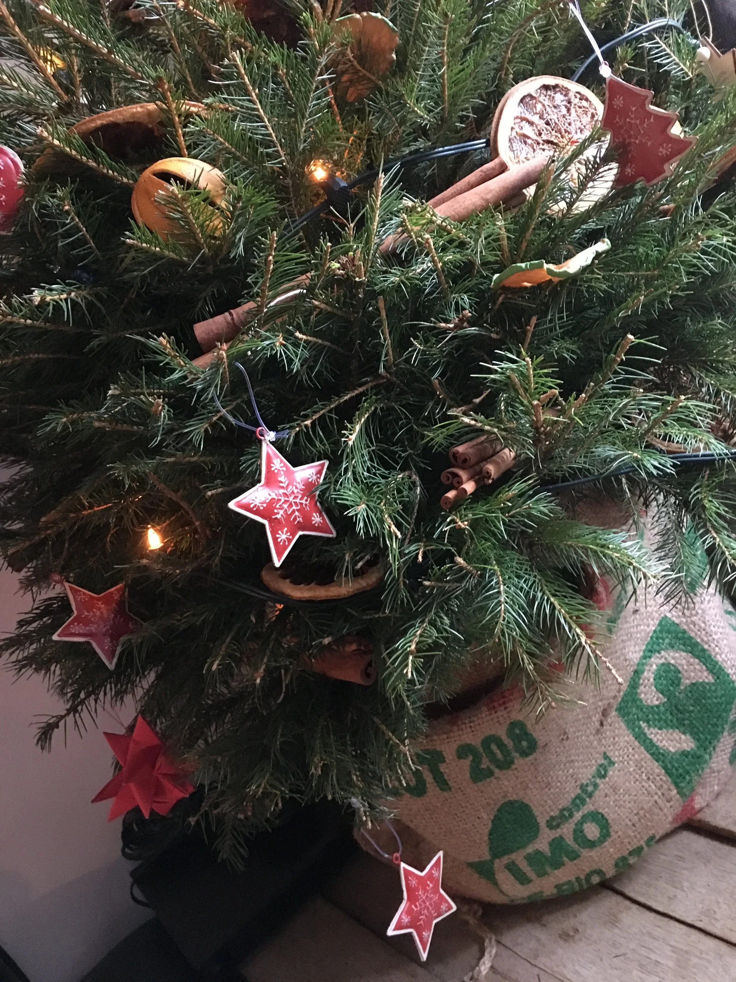 CHRISTMAS PARTIES or family celebrations at  Mill End Mitcheldean or host your business Christmas Dinner or end of year party with catering and hospitality by Bordello Banquets.