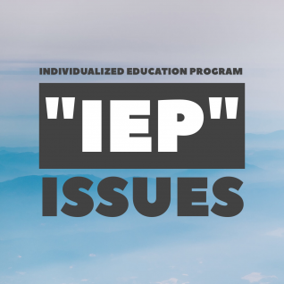   Individualized Education Program (IEP) Issues  