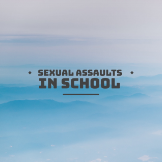  Serious School Incidents / Assaults / Sexual Assaults 