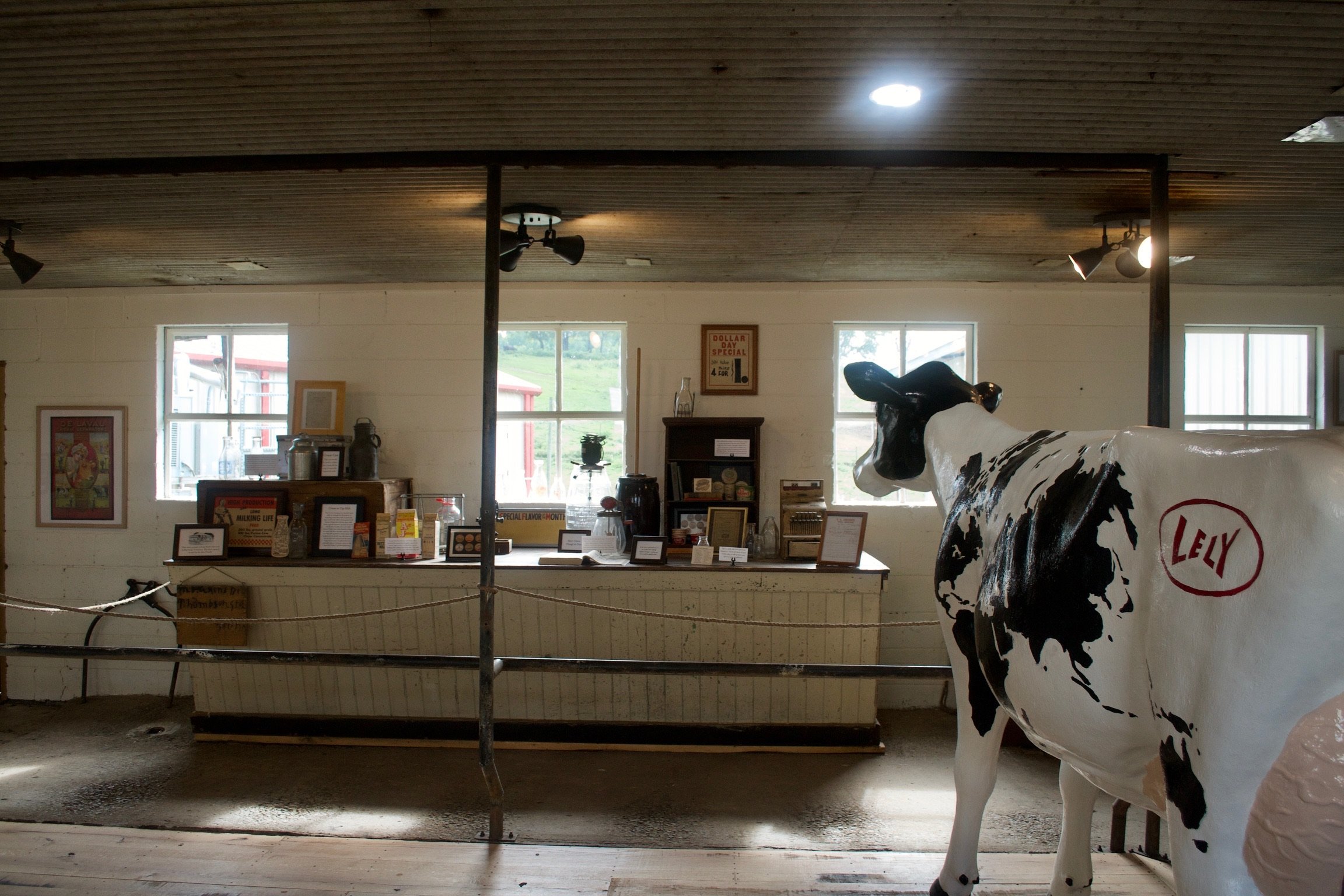 2C9F62D0-B9BE-4DE2-9BBA-8BAFD34DA878 copy 2.JPG