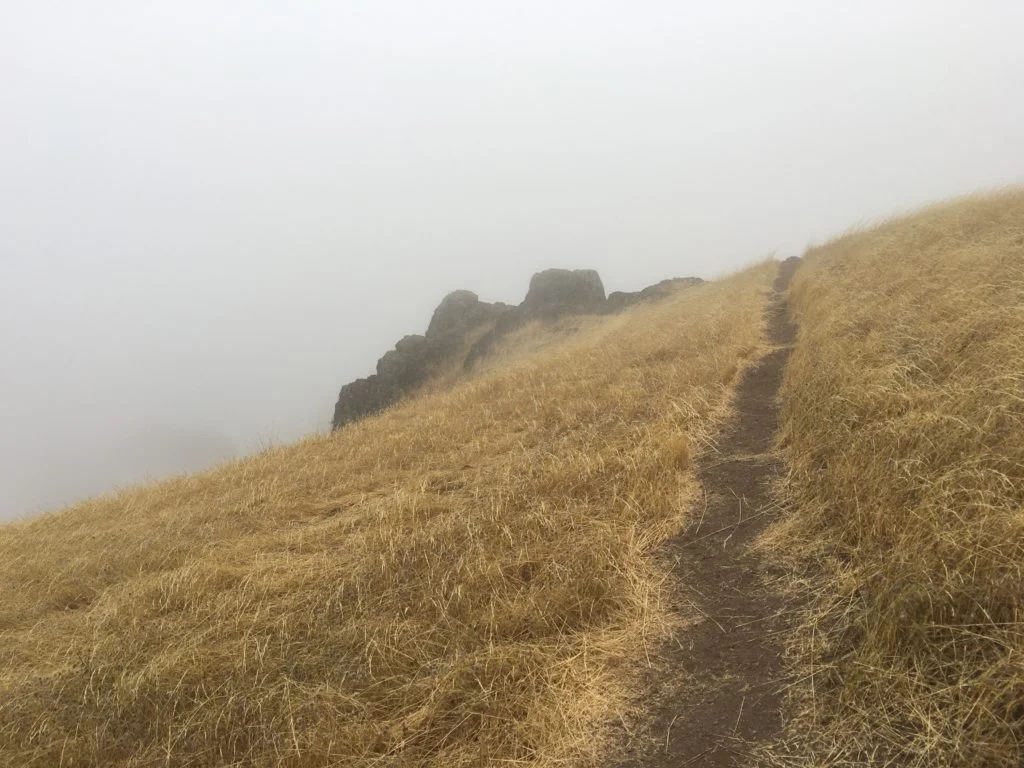 A foggy landscape with grass, a path, and some rocks in the distance