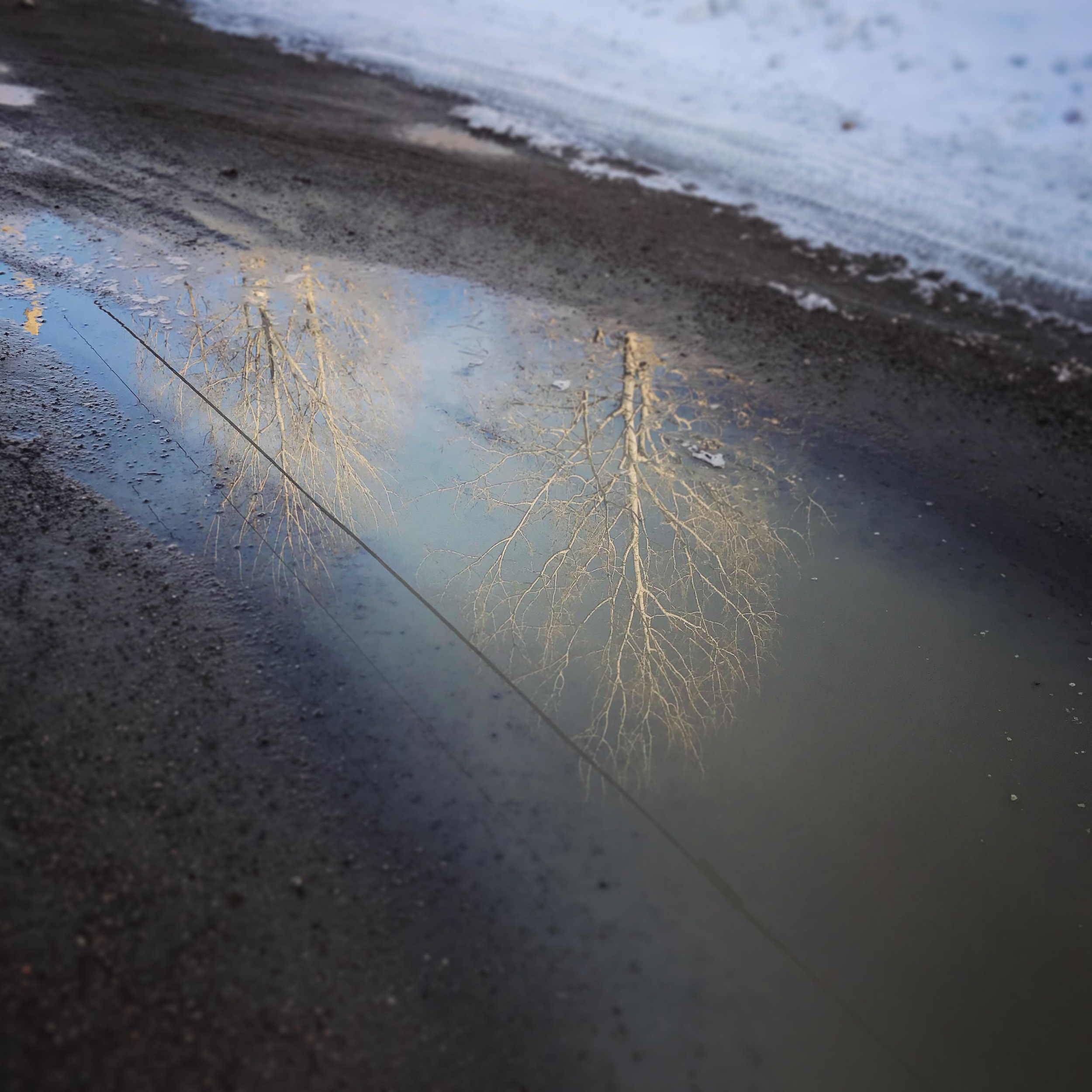 Spring.png