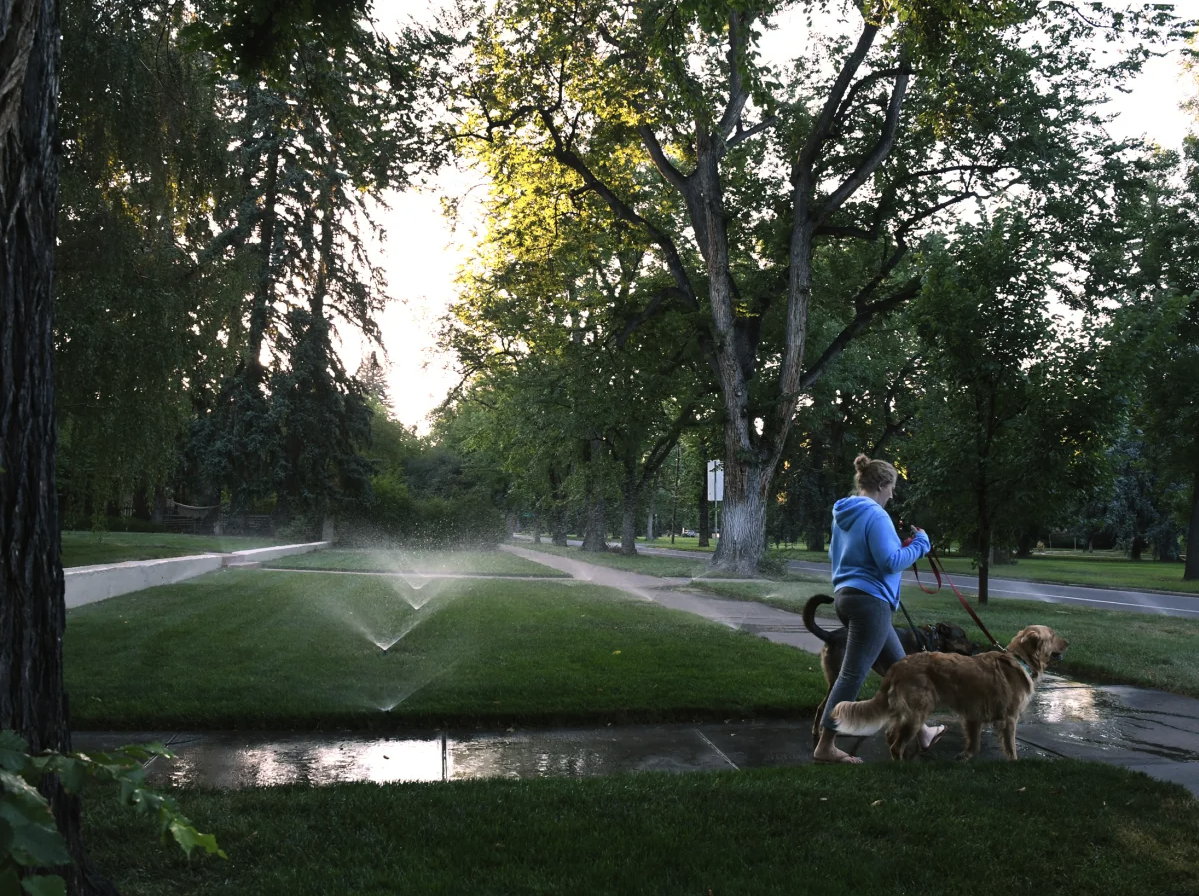 Denver Stage 1 Drought Restrictions: Complete Guide for 2026