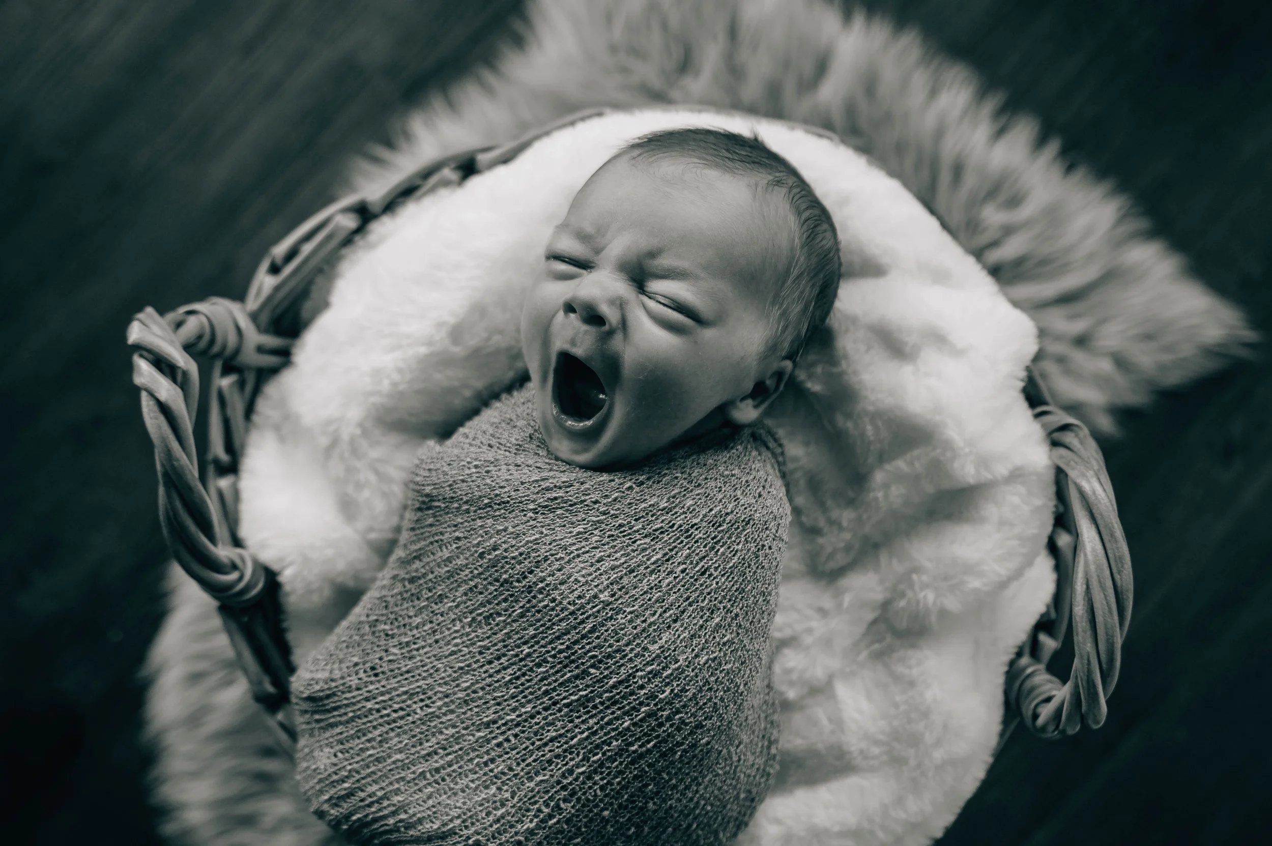 untitledshoot-6469-2.jpg