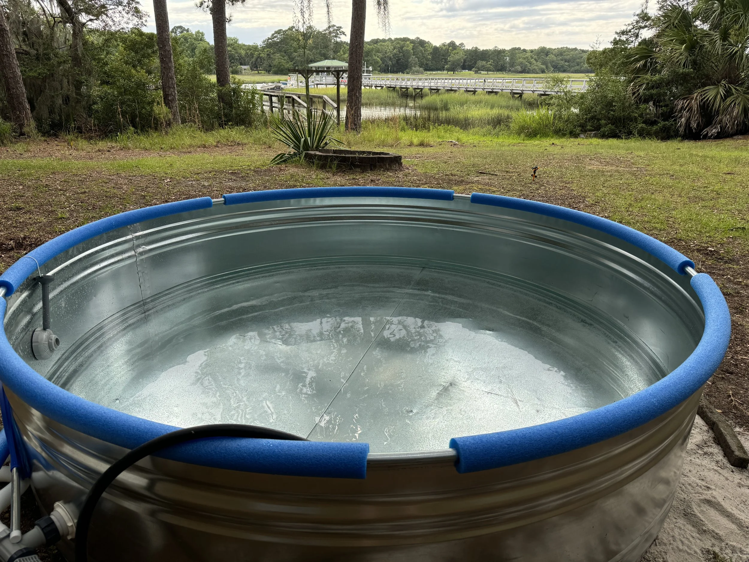 DIY Stock Tank Pool