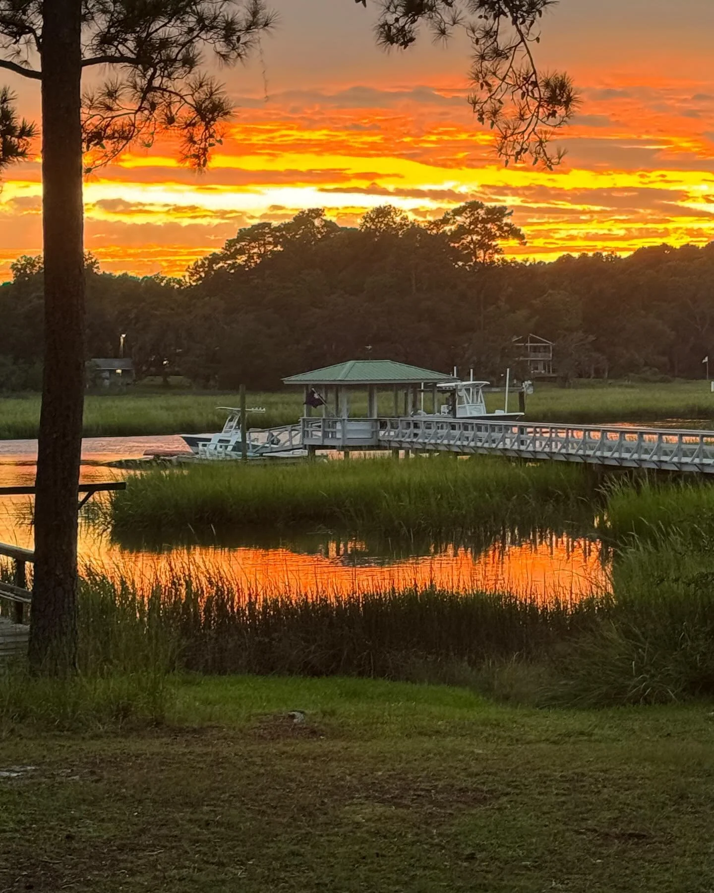 Lowcountry showing off again! #lowcountry #coosawatchie
