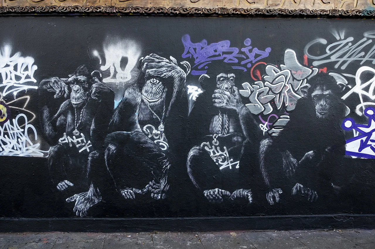 DSCF1648.jpg