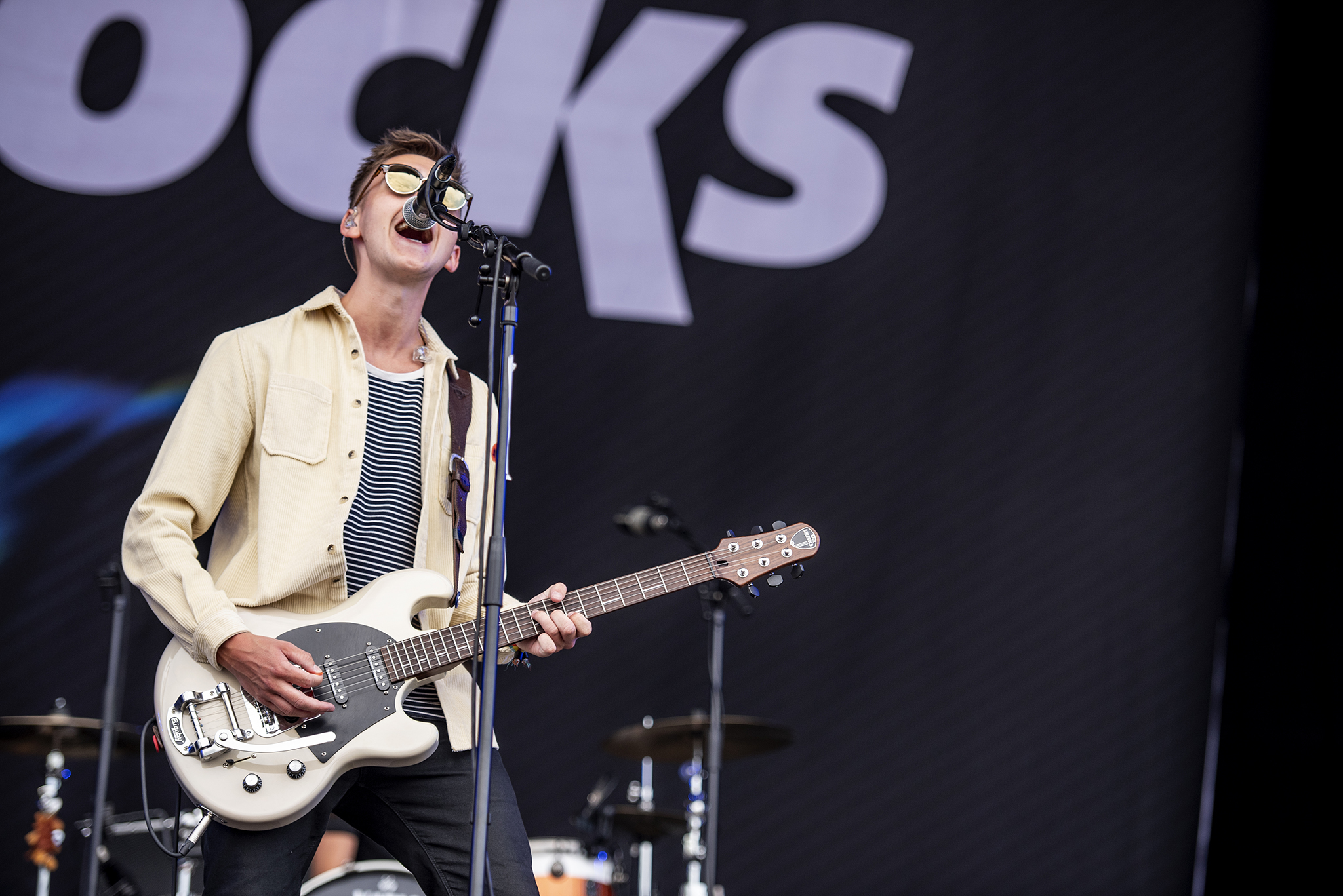 the sherlocks copy.jpg
