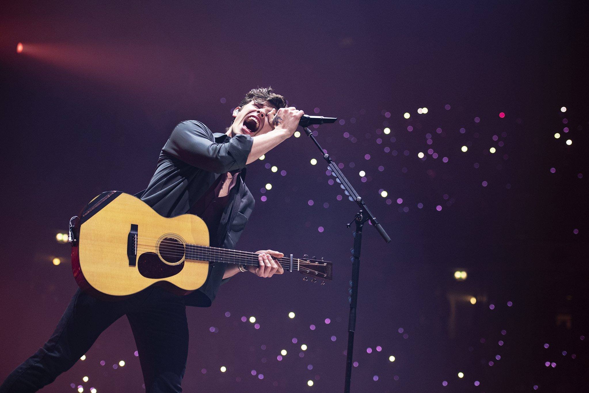 shawn mendes