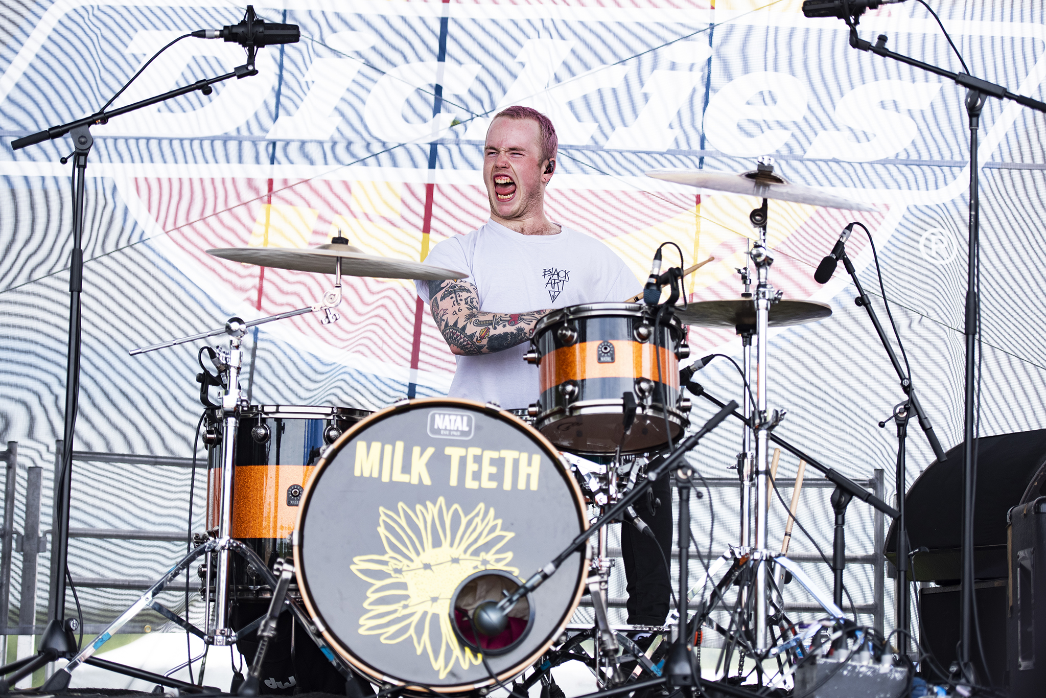 Milk02.jpg