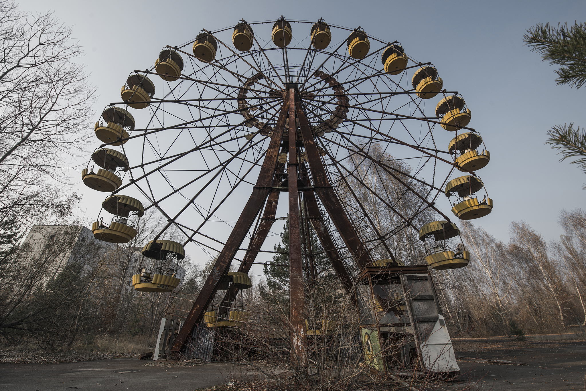 Wheel Of Mis-fortune.jpg