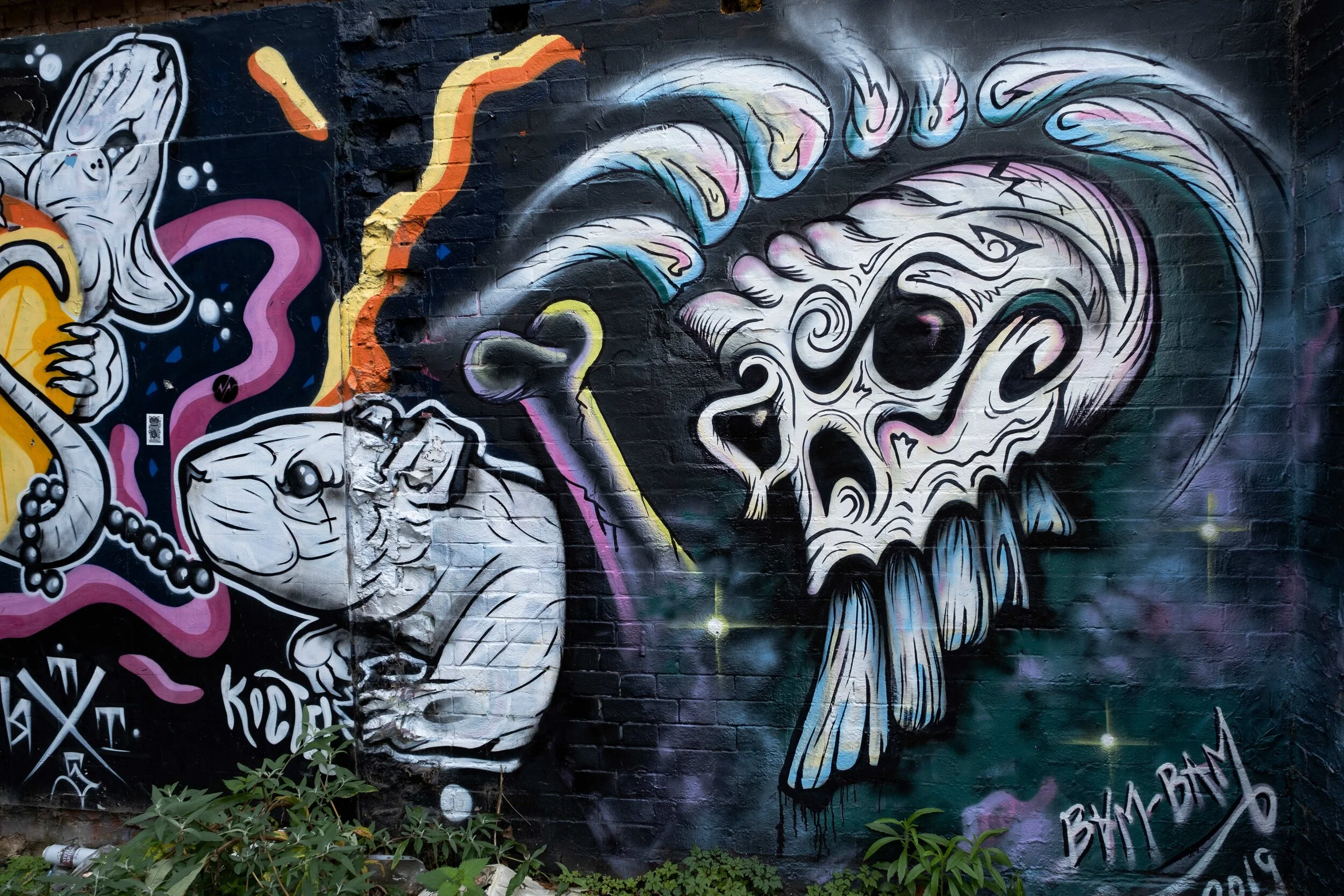 DSCF4678.jpg
