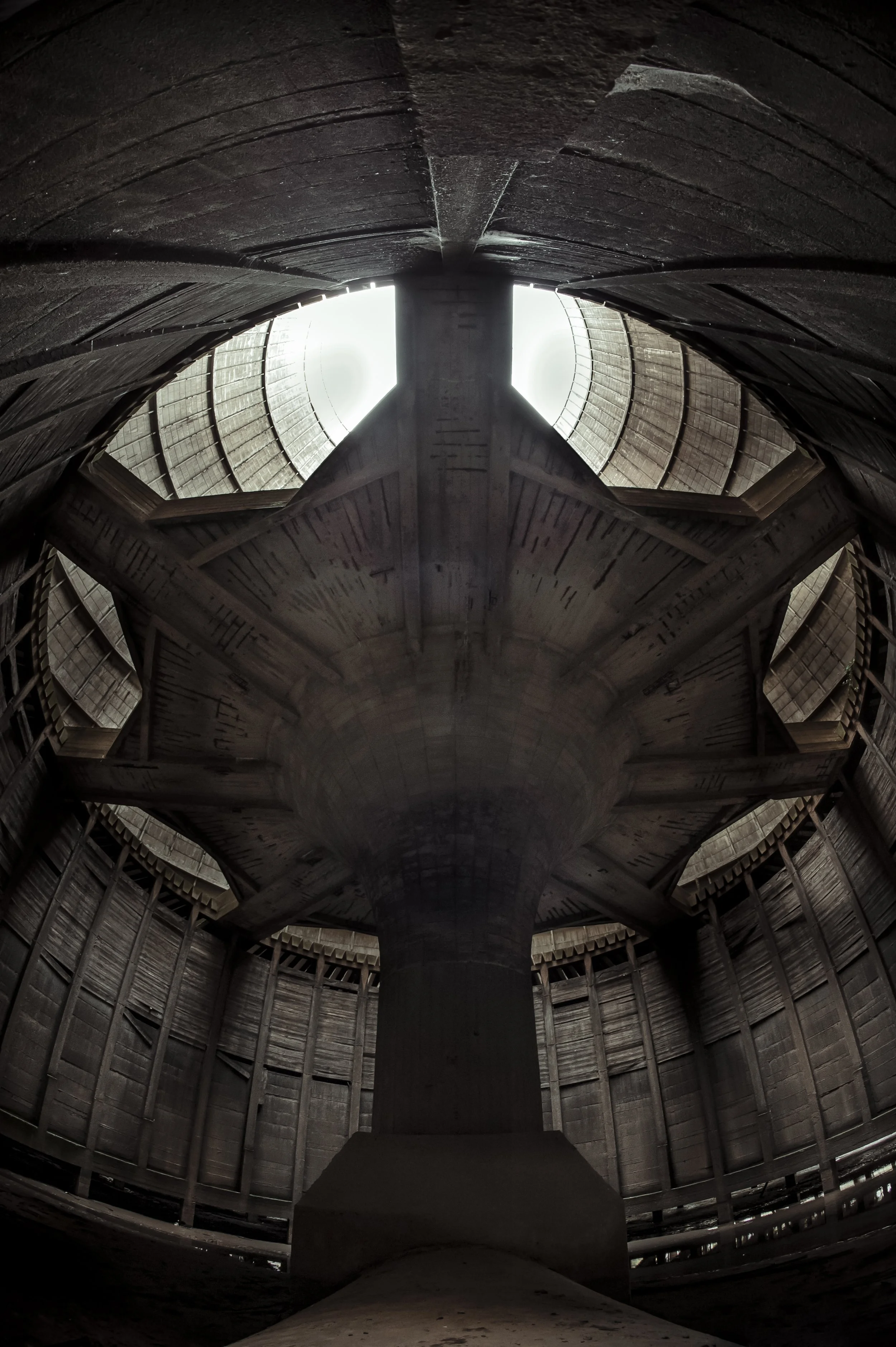 The New Must Have.jpg