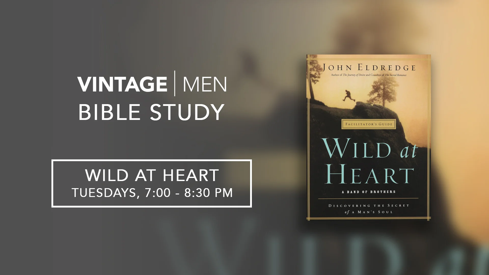 Men_BibleStudy_WildAtHeart.png