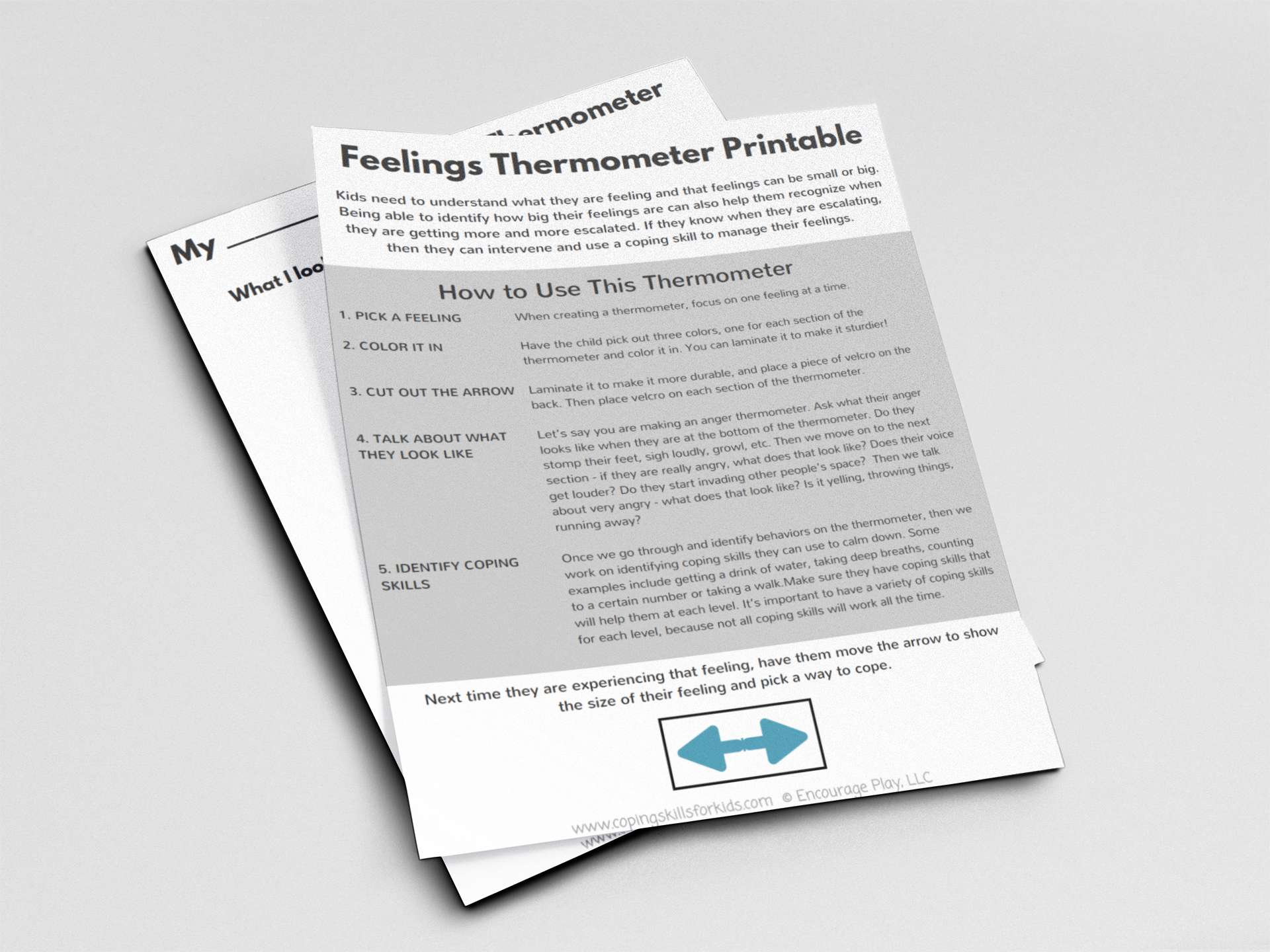 Feelings Thermometer