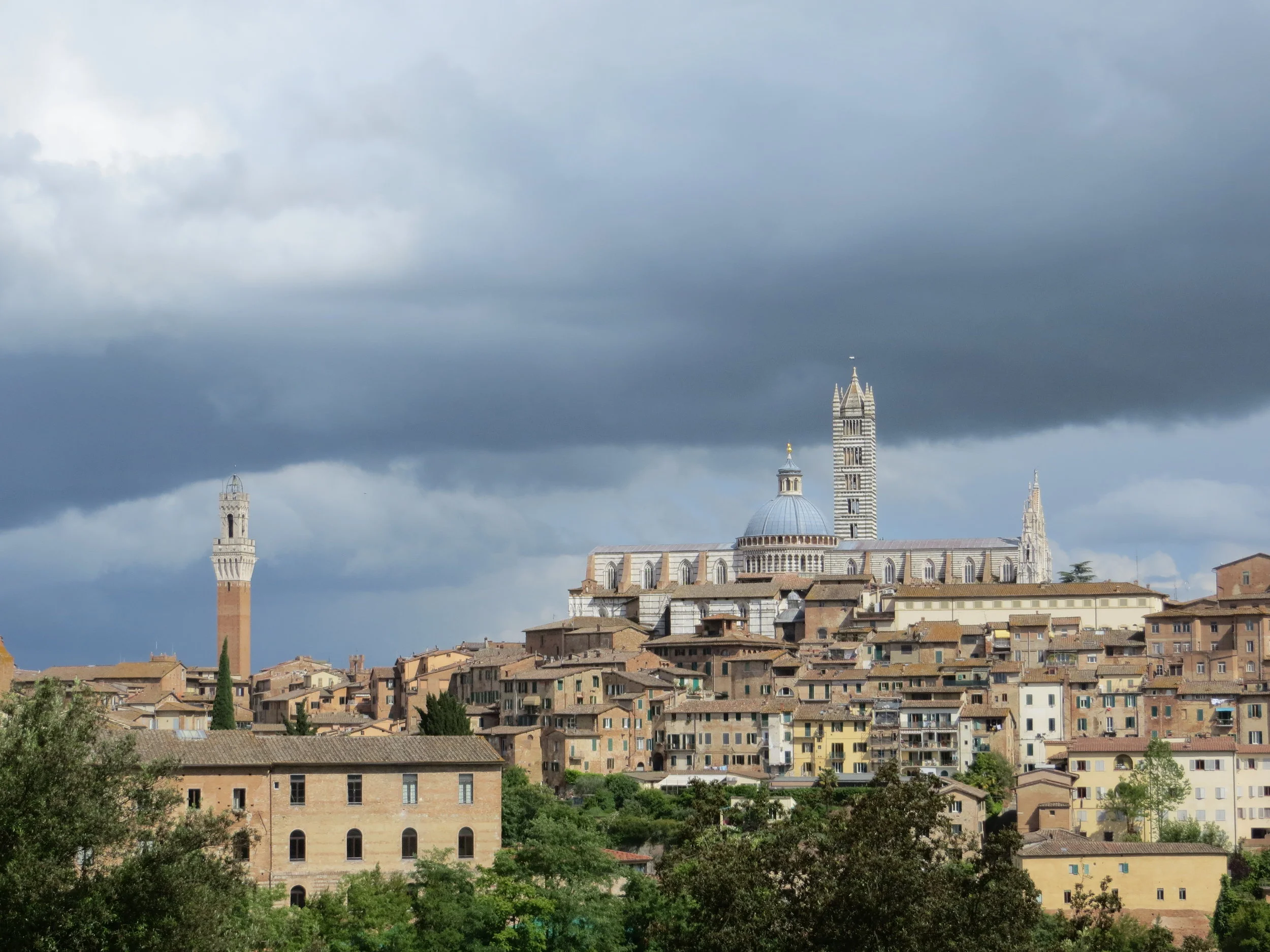 View of Siena 1.JPG