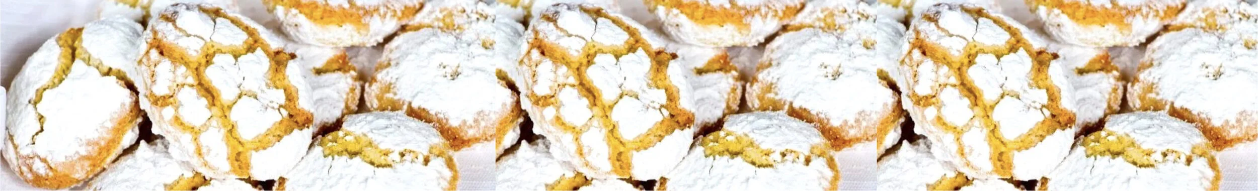 ricciarelli banner.jpg