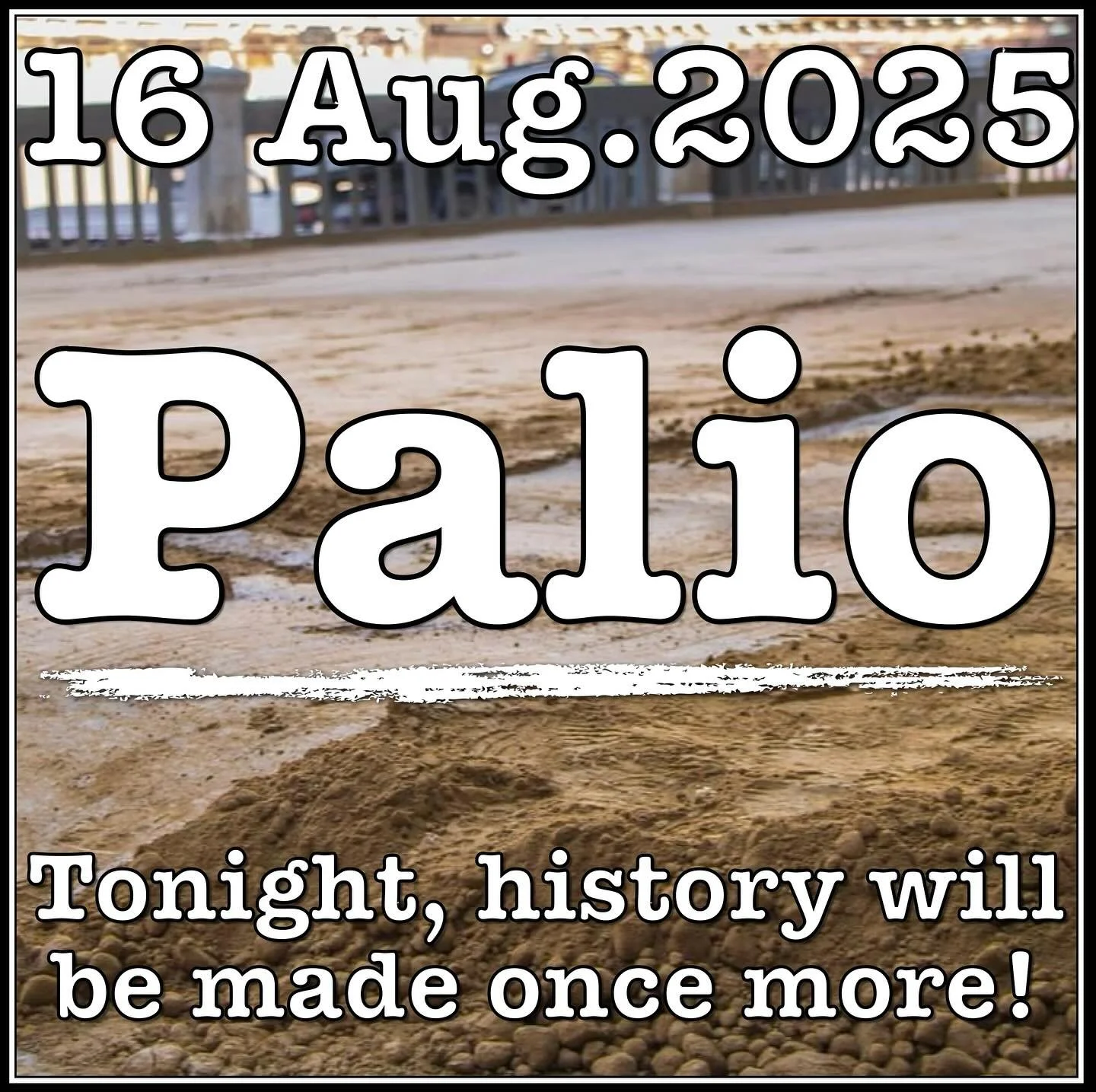 TODAY IS THE DAY! PALIO DELL’ASSUNTA 2025!
Here are the 10 Contrade in alphabetical order (with year of last victory), horses (all geldings this Palio; C = “castrato”), and jockeys (with their nicknames and Palii run):
1. Aquila (