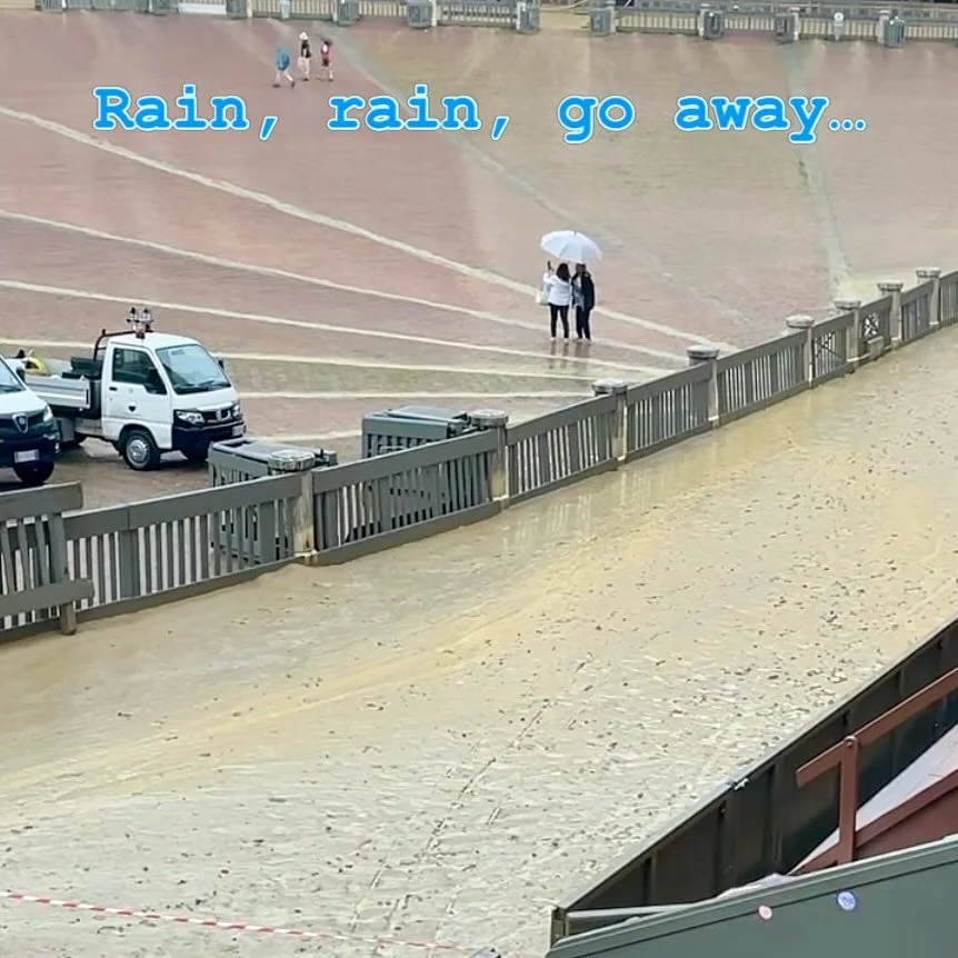 ☔️It rained all last night into this morning, but the skies are finally turning blue and the sun is out&hellip;will we run the Palio this evening? Watch this space&hellip;☀️

Total victories: official number (plus extra, recognized by the Contrada bu