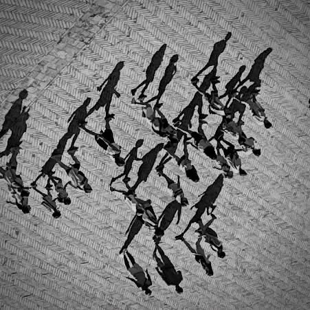 🤍🖤🤍 Feeling a bit artsy today - hope you enjoy these black-and-white photos! 🖤🤍🖤

Meanwhile, the following Contrade are still working on strategies for tomorrow&rsquo;s Palio&hellip;who will fortune favour?

Total victories: official number (pl