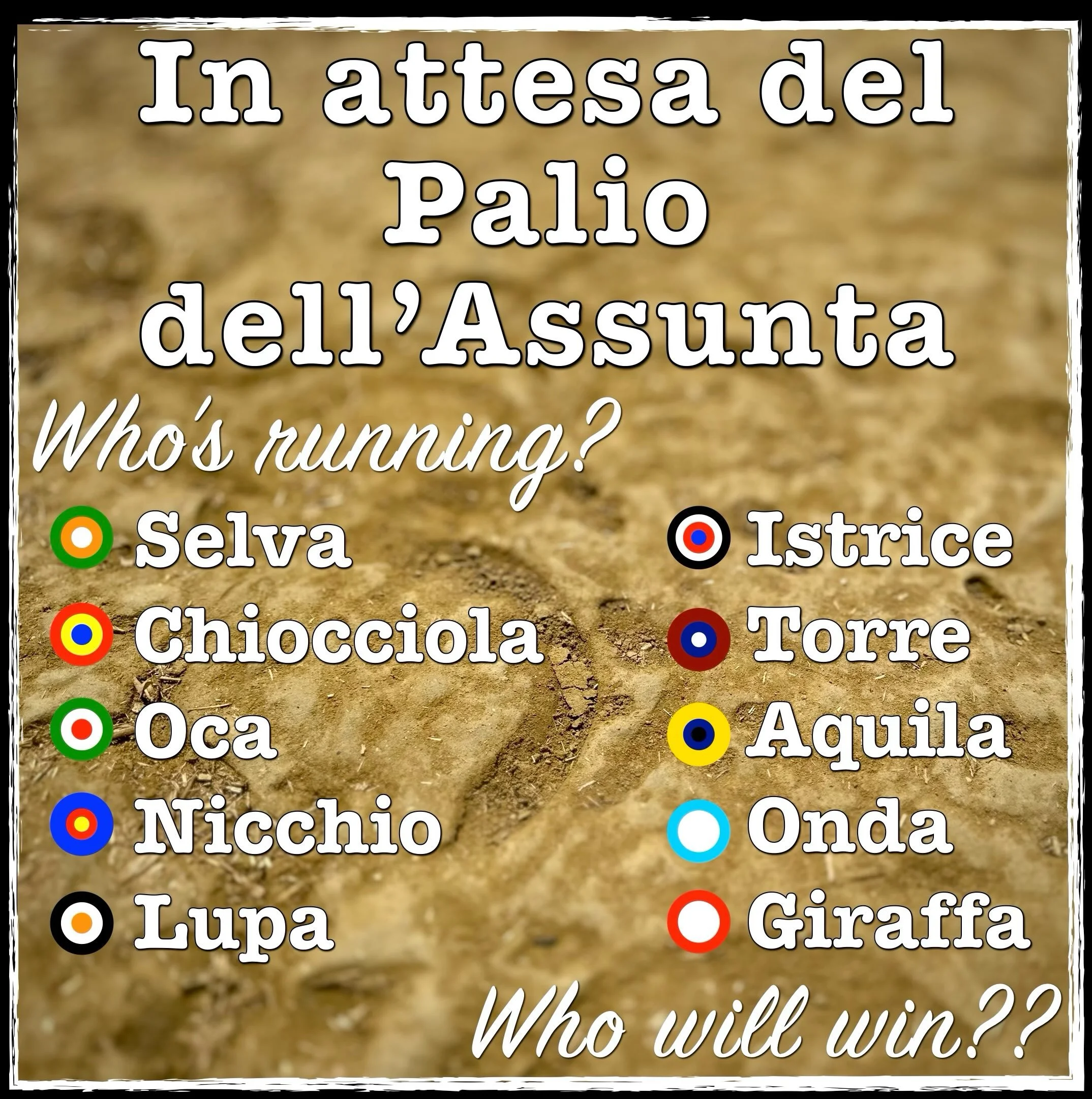 13 August, Siena: Today we can finally don our fazzoletti (Contrada scarves) as we anxiously awaited the assignment of the horses. Just after 9am the selection trials took place: 35 horses in 5 heats, jockeys not yet in Contrada colours but simple bl