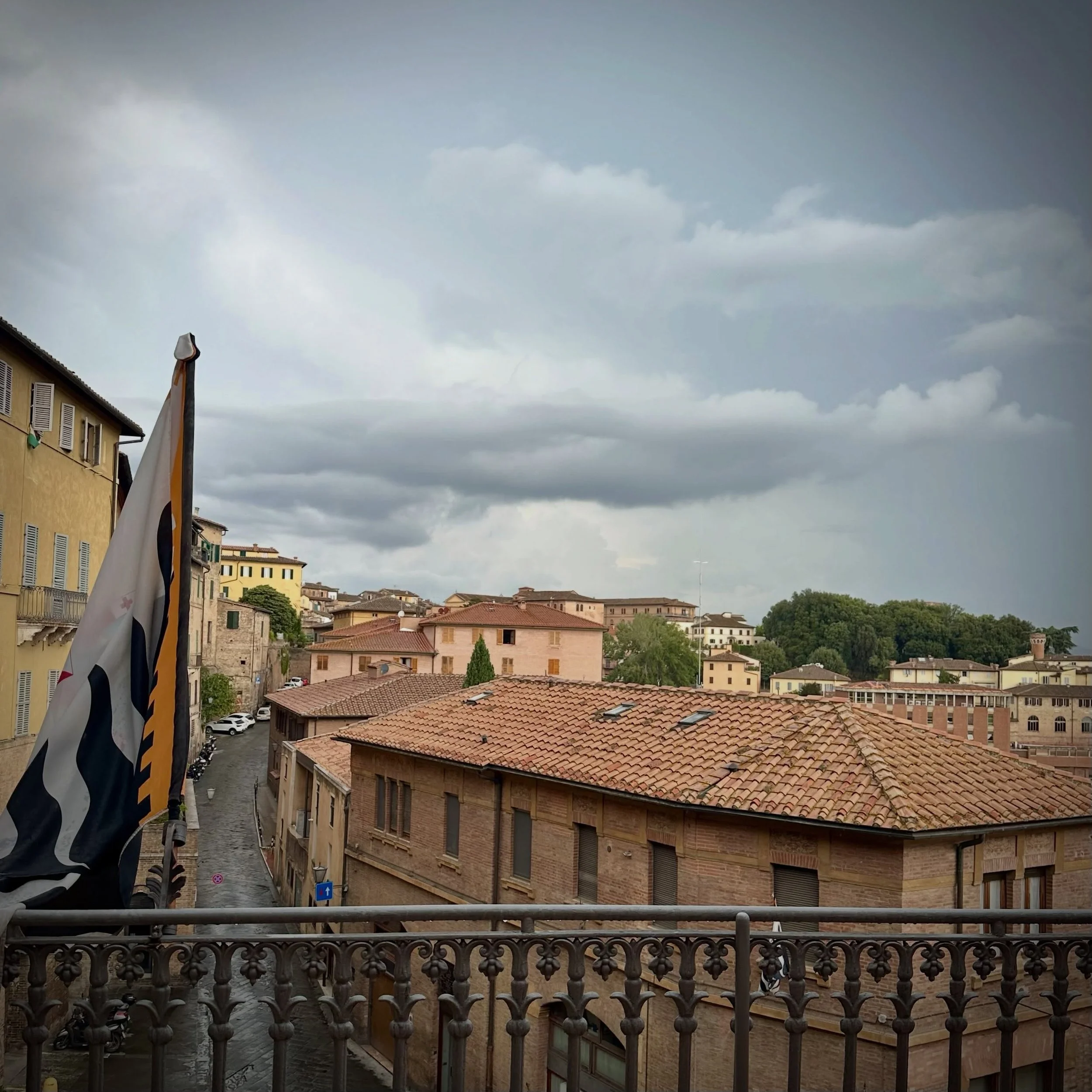 17 August: ⛈️ After an agonizing 24 hours, here we are again. We awoke to turbulent skies, then thunder, and then rain. More is forecast, but will it be enough to ruin the track, or might we be able to run this Palio after all? 🐎

For now, here are 