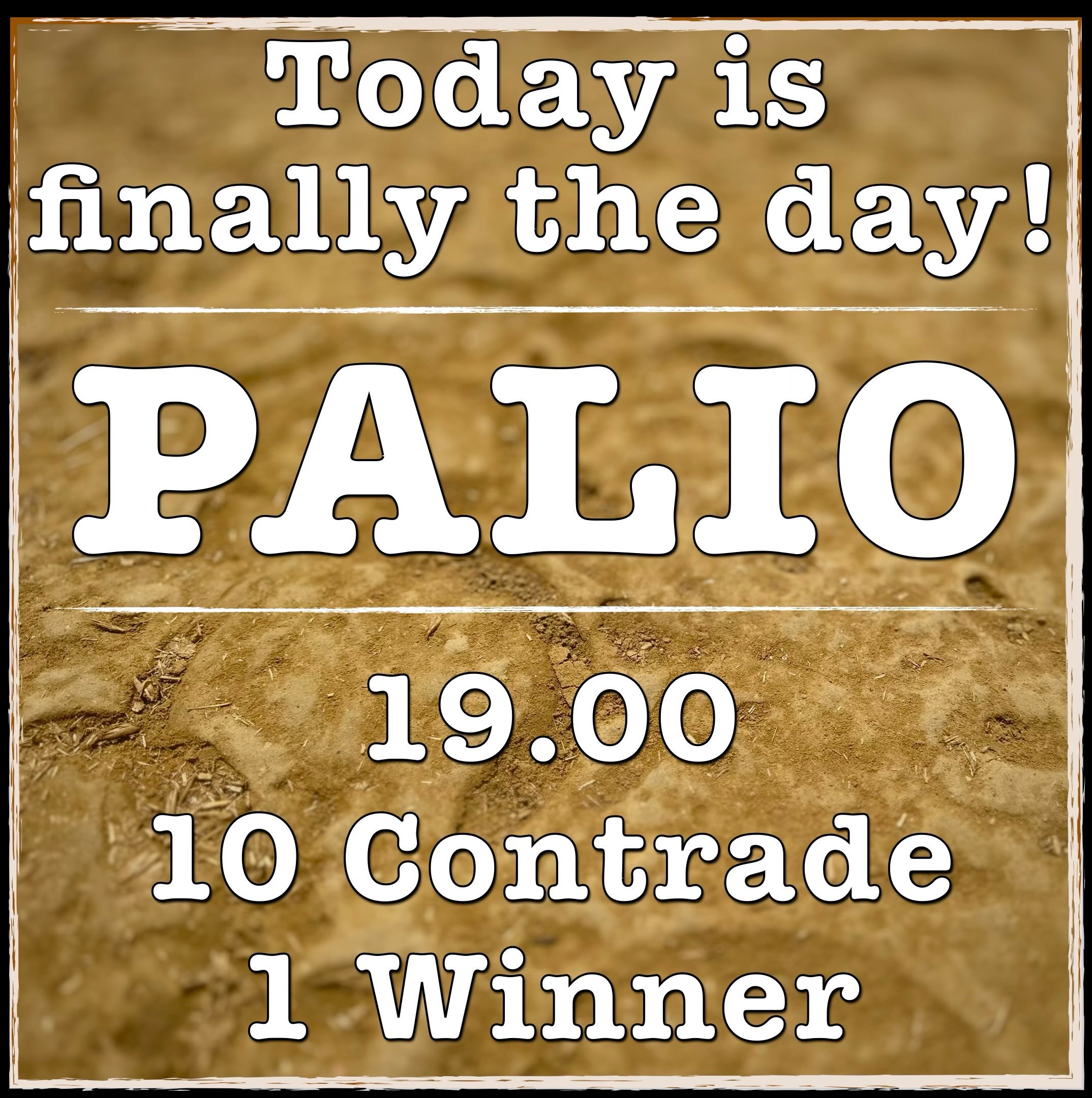 18 August 2026: Finally, TODAY is PALIO!! No one has slept well in days but adrenaline will keep us all going until this evening. At 19:00 (7pm) the horses and jockeys will step onto the track and then, after what will surely be a long and contested 