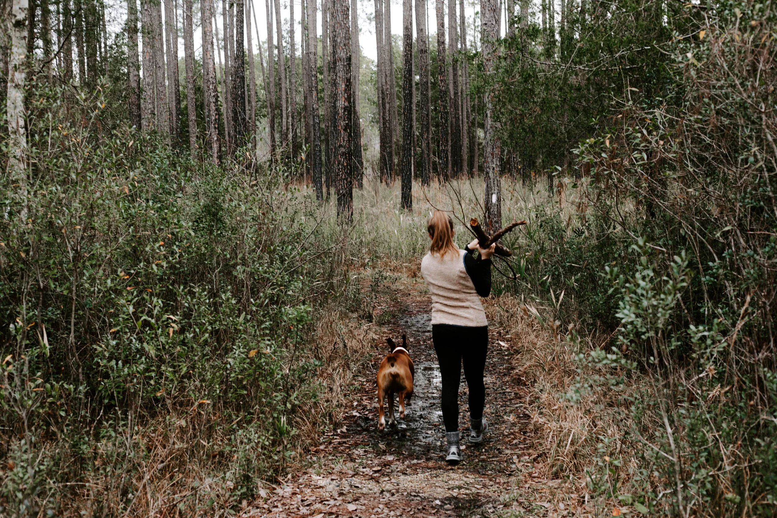 annie-theby-zsondu-vfqU-unsplash.jpg
