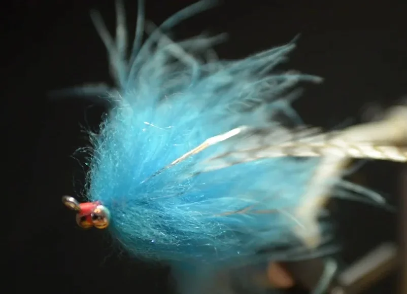 Hareball Leech