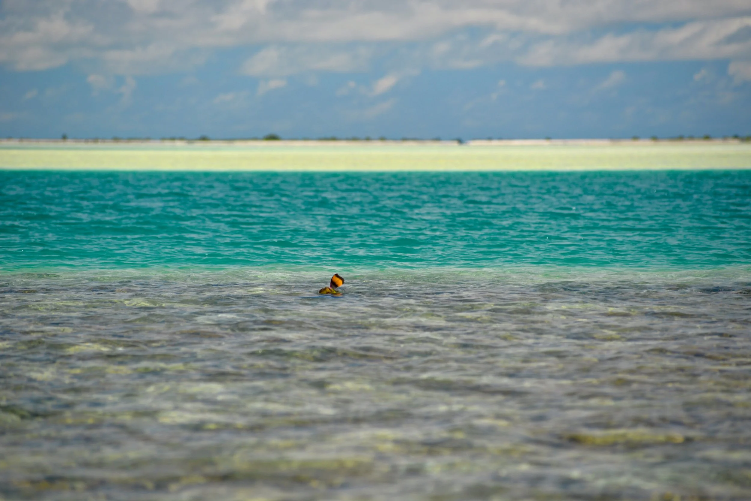 DSC_5404.jpg