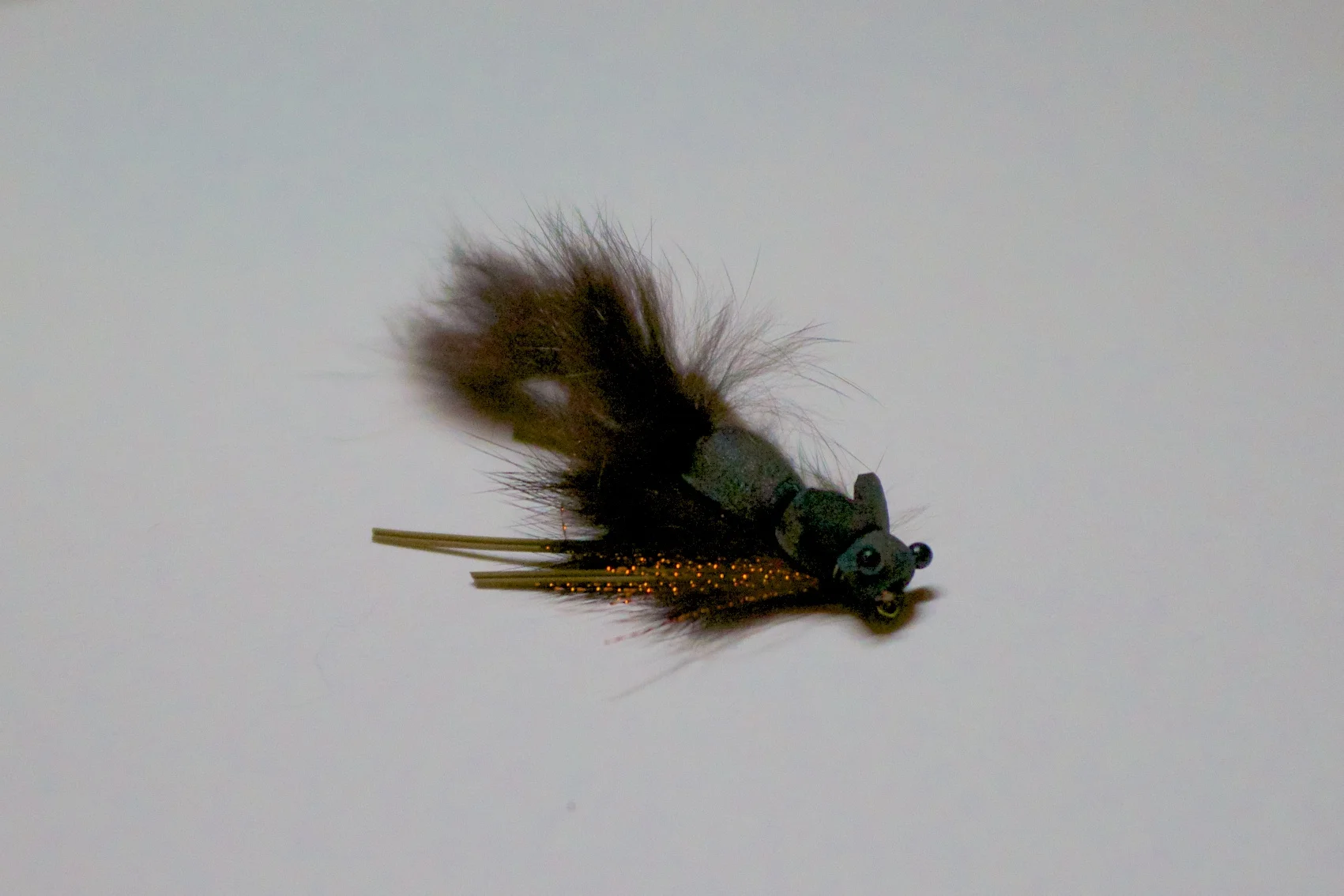 DSC_2673.jpg